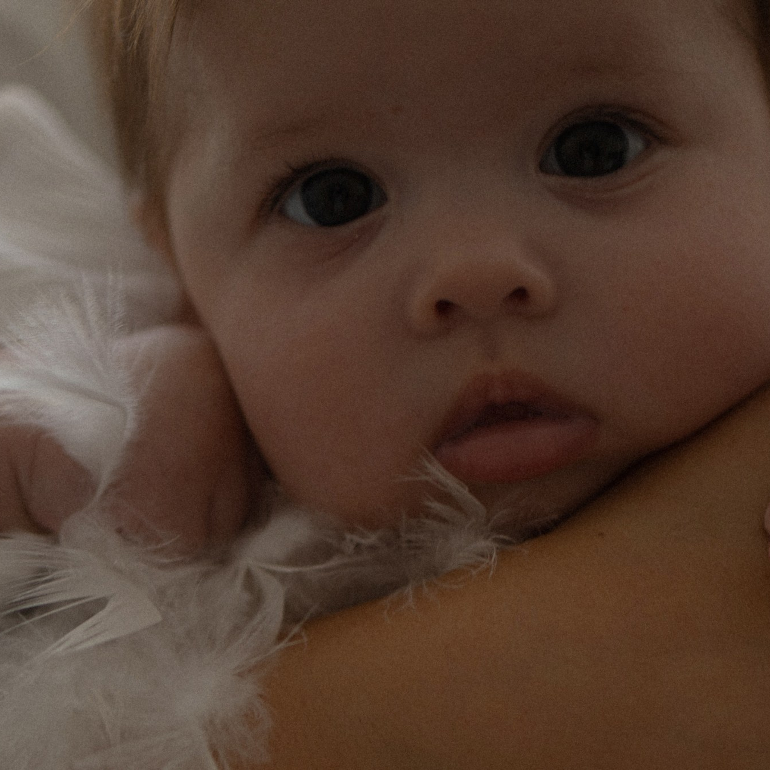 Усатый нянь. Фотограф Daria Wilner