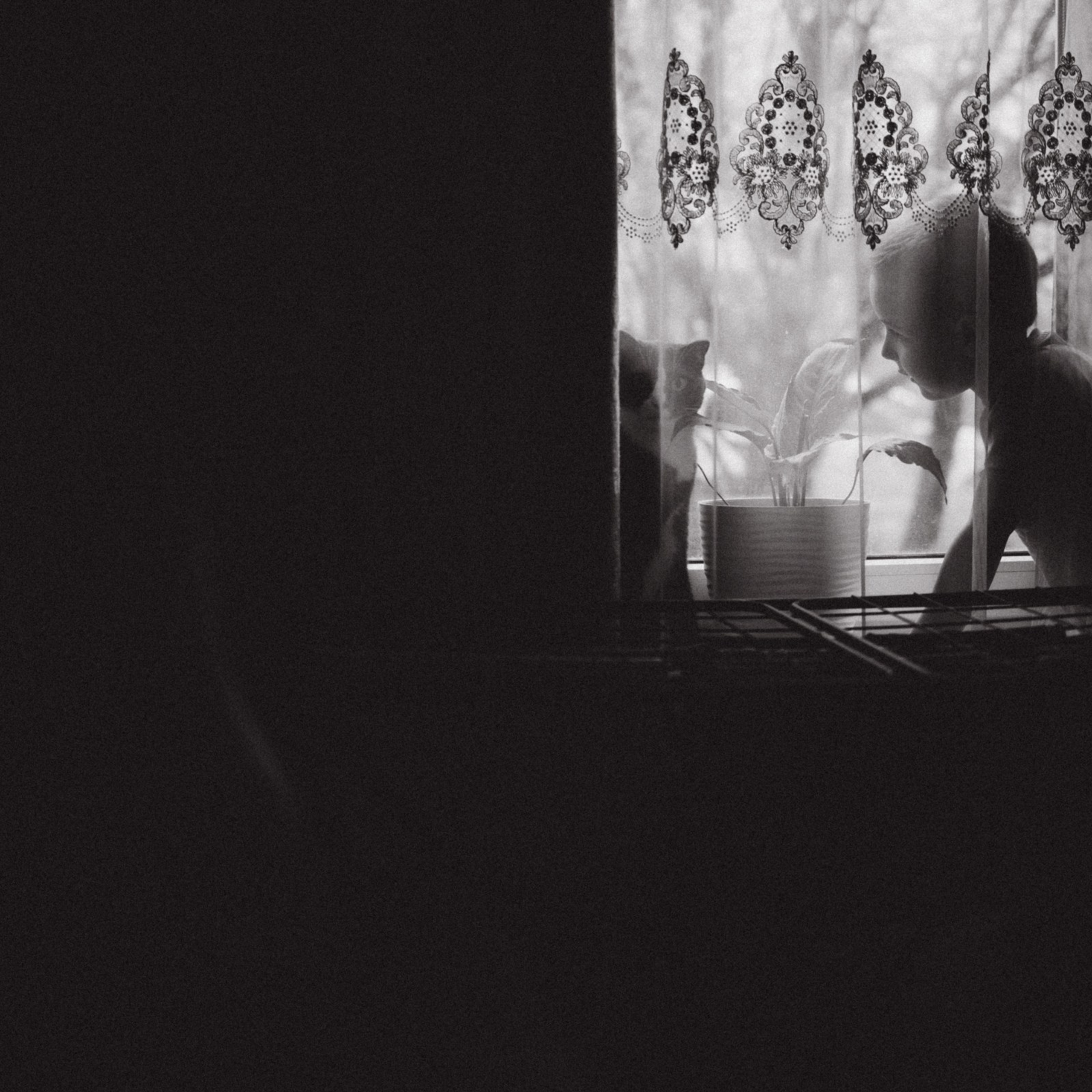 Чай с ллидинками. Фотограф Daria Wilner