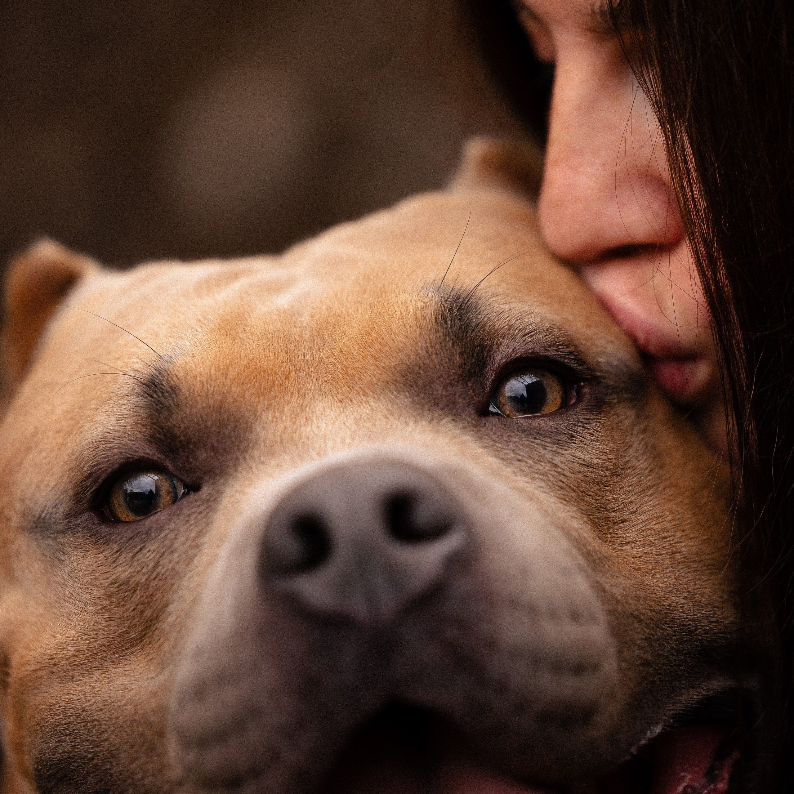 Алена и Тор