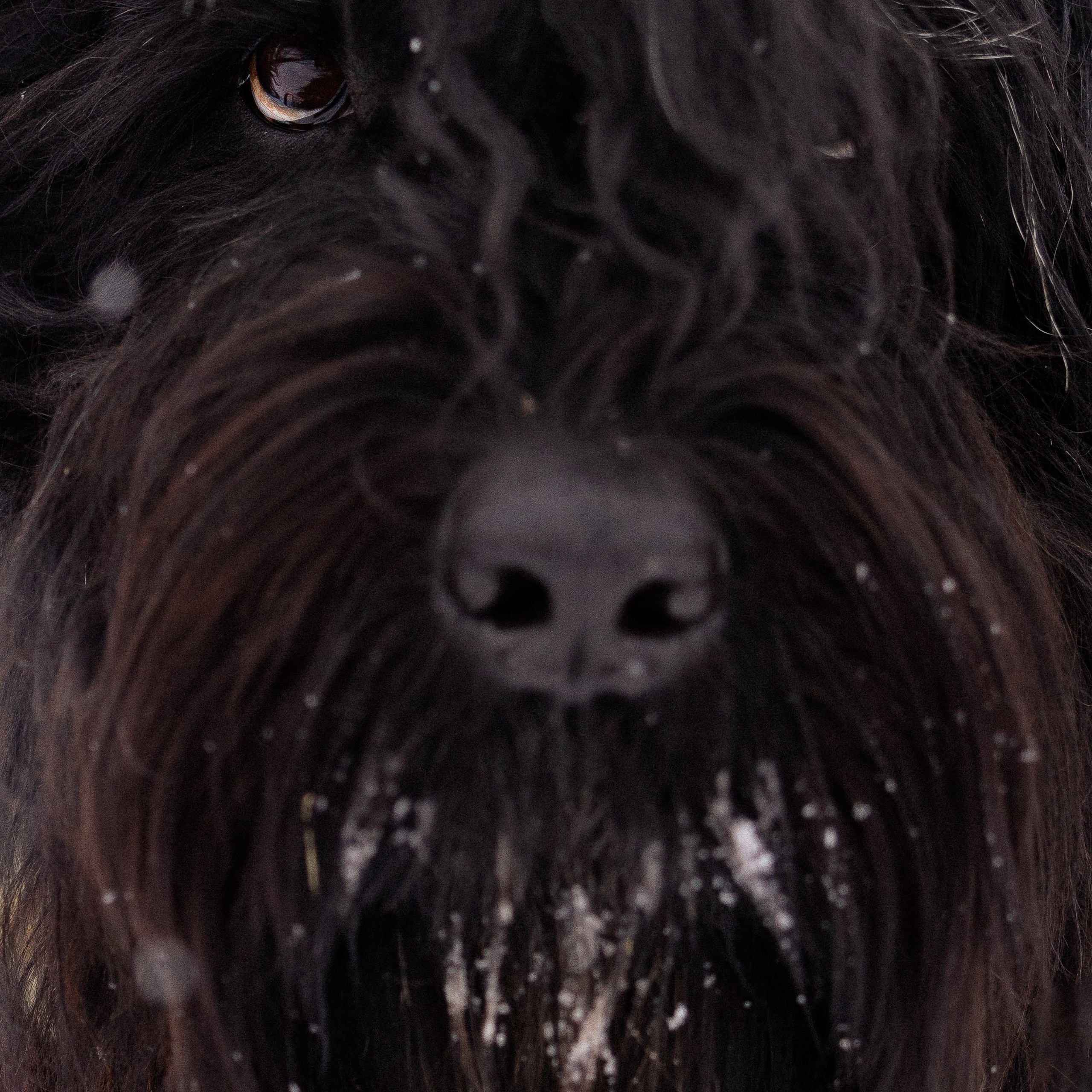 Анастасия и Ирга