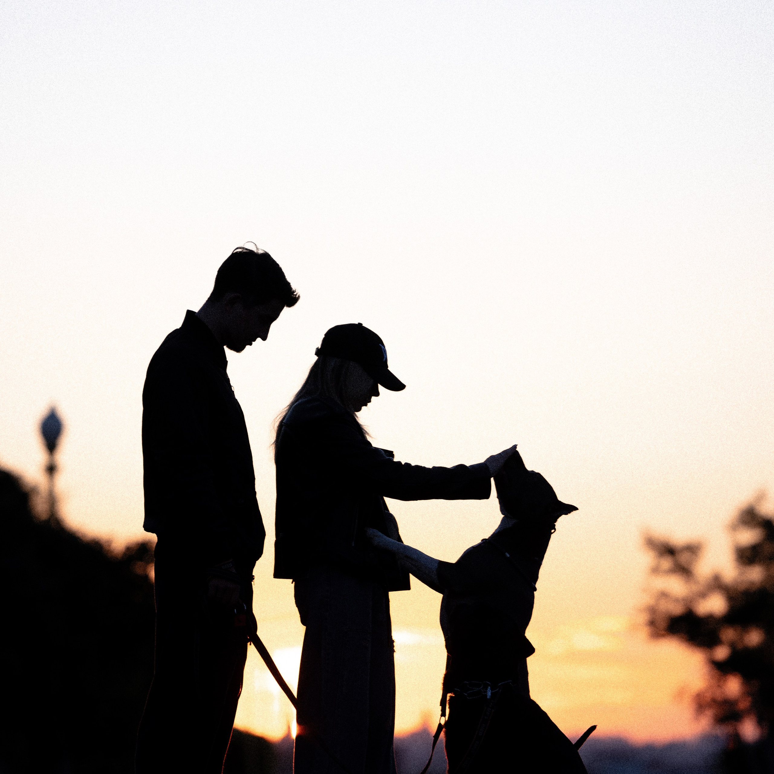 Катя, Леша, Лея и Трой