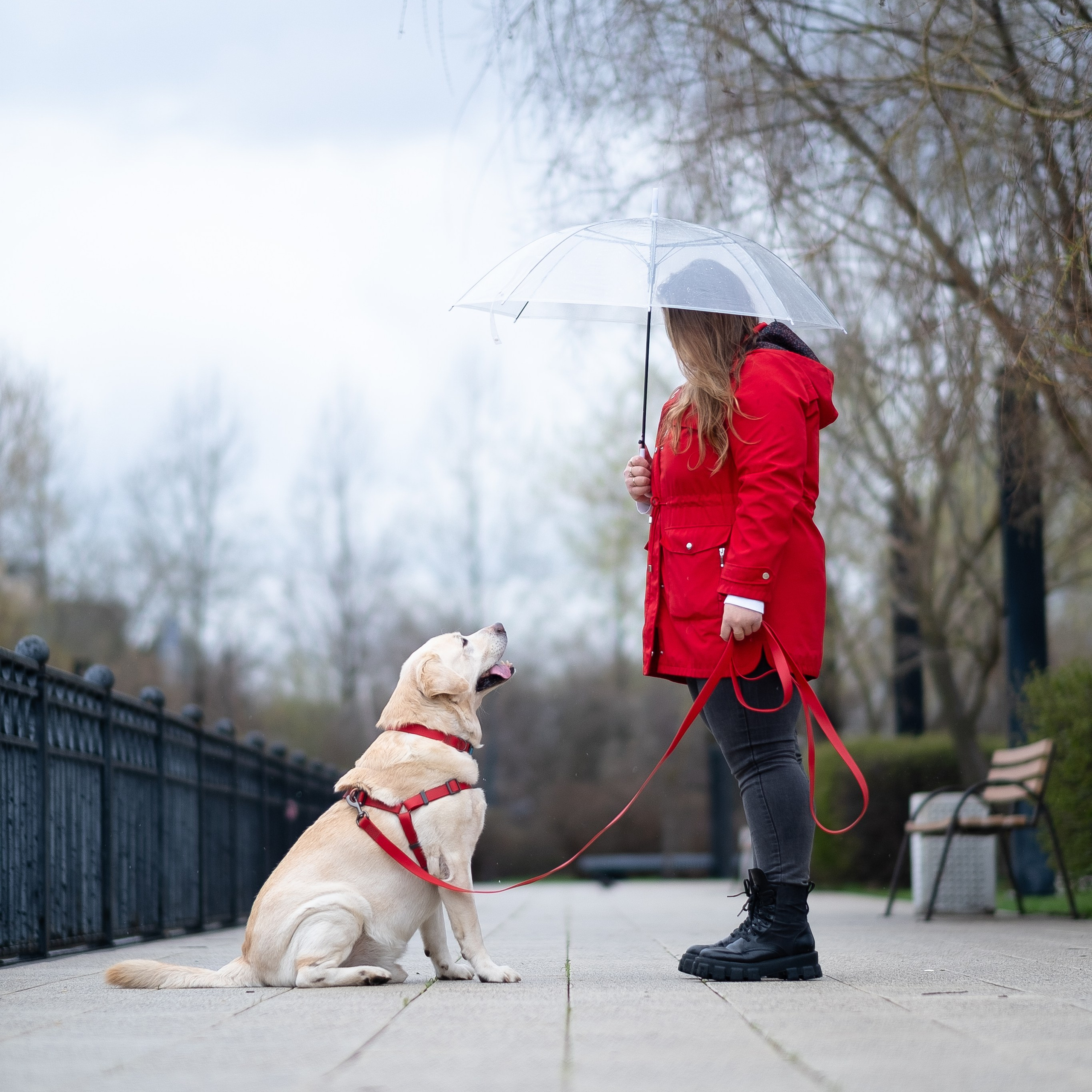 Света и Лето