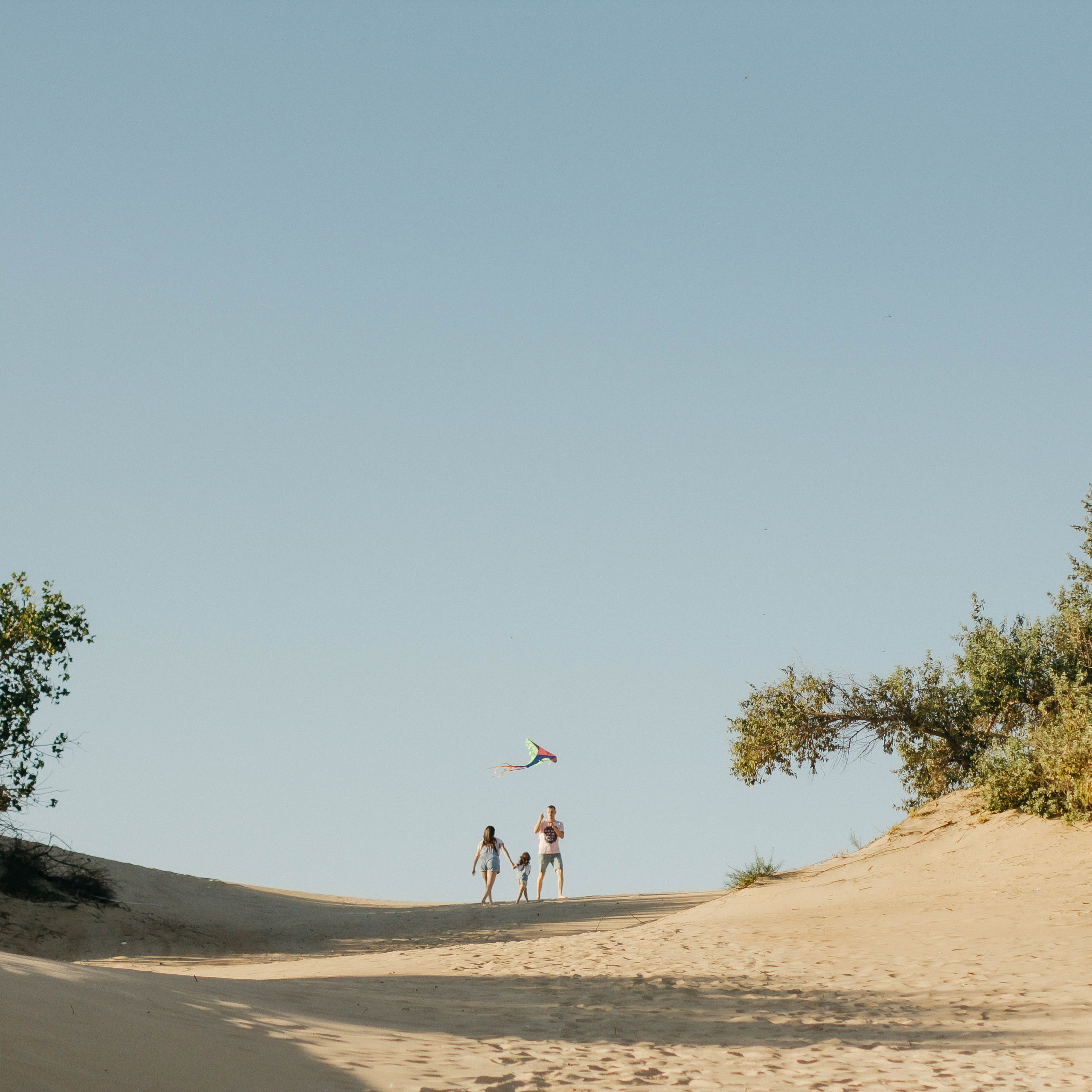 Настя, Вася и Саша