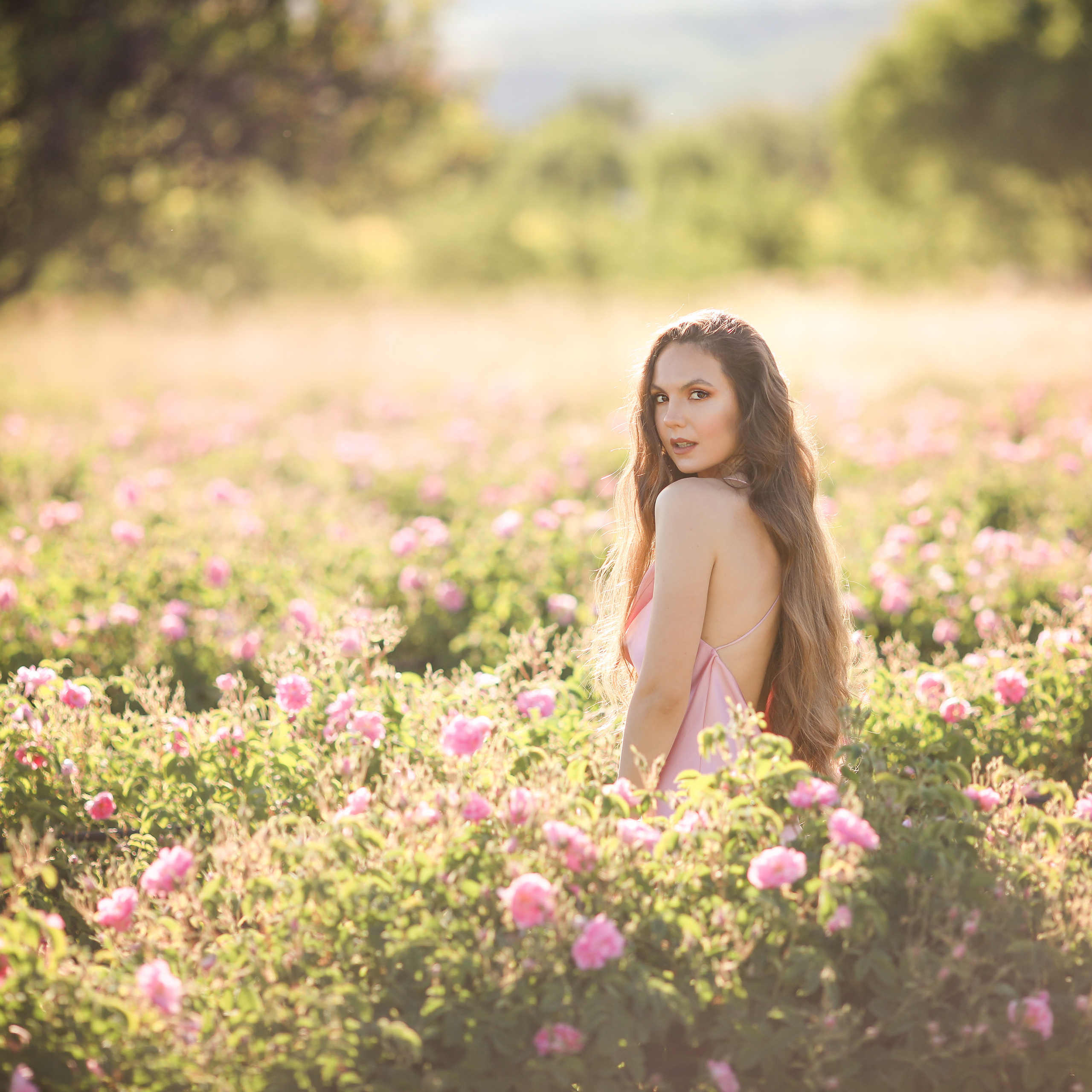 Фотосессия на розовых полях
