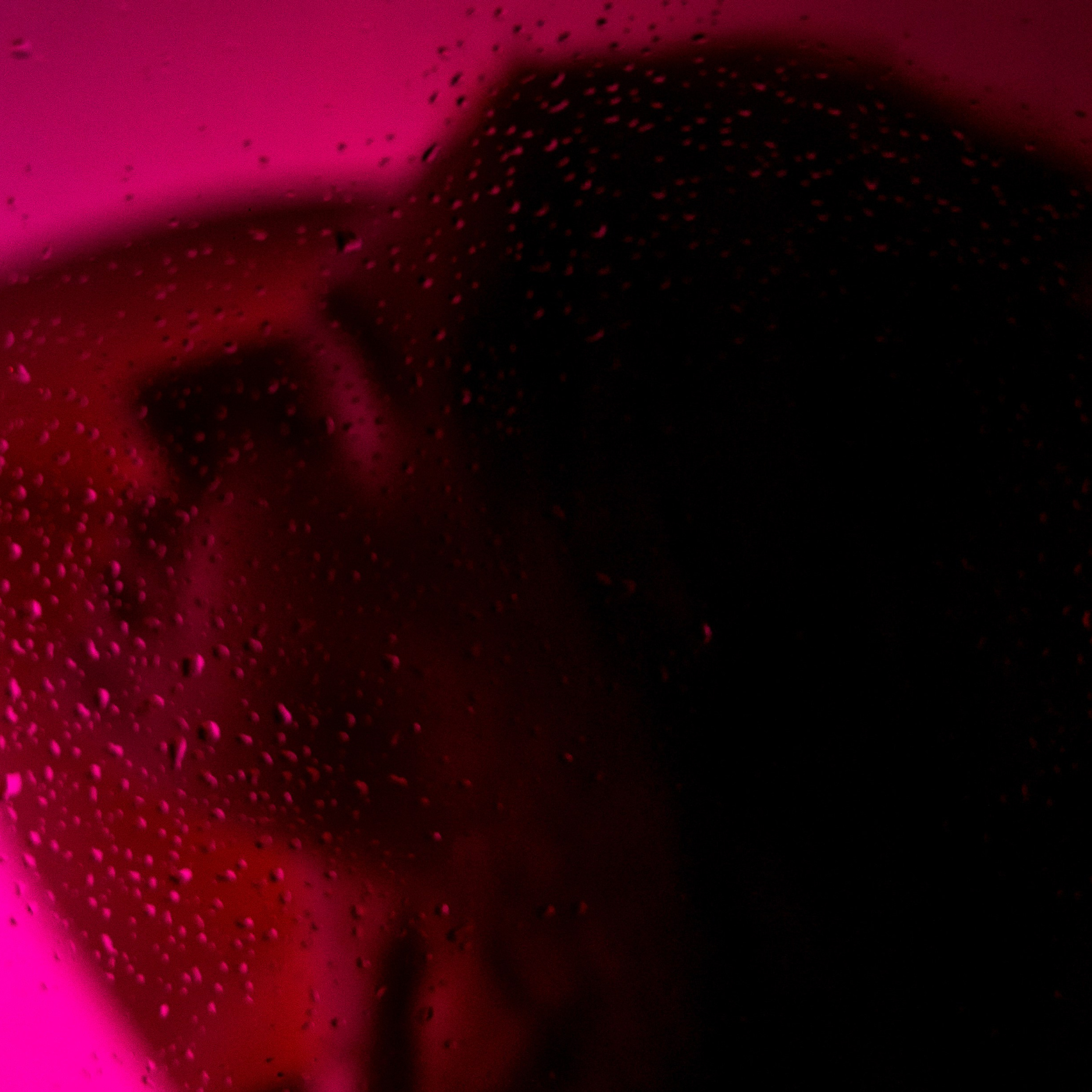 День из жизни сада/школы. Дарья Бухреева — фотограф, видеограф и фототерапевт. Москва и мир