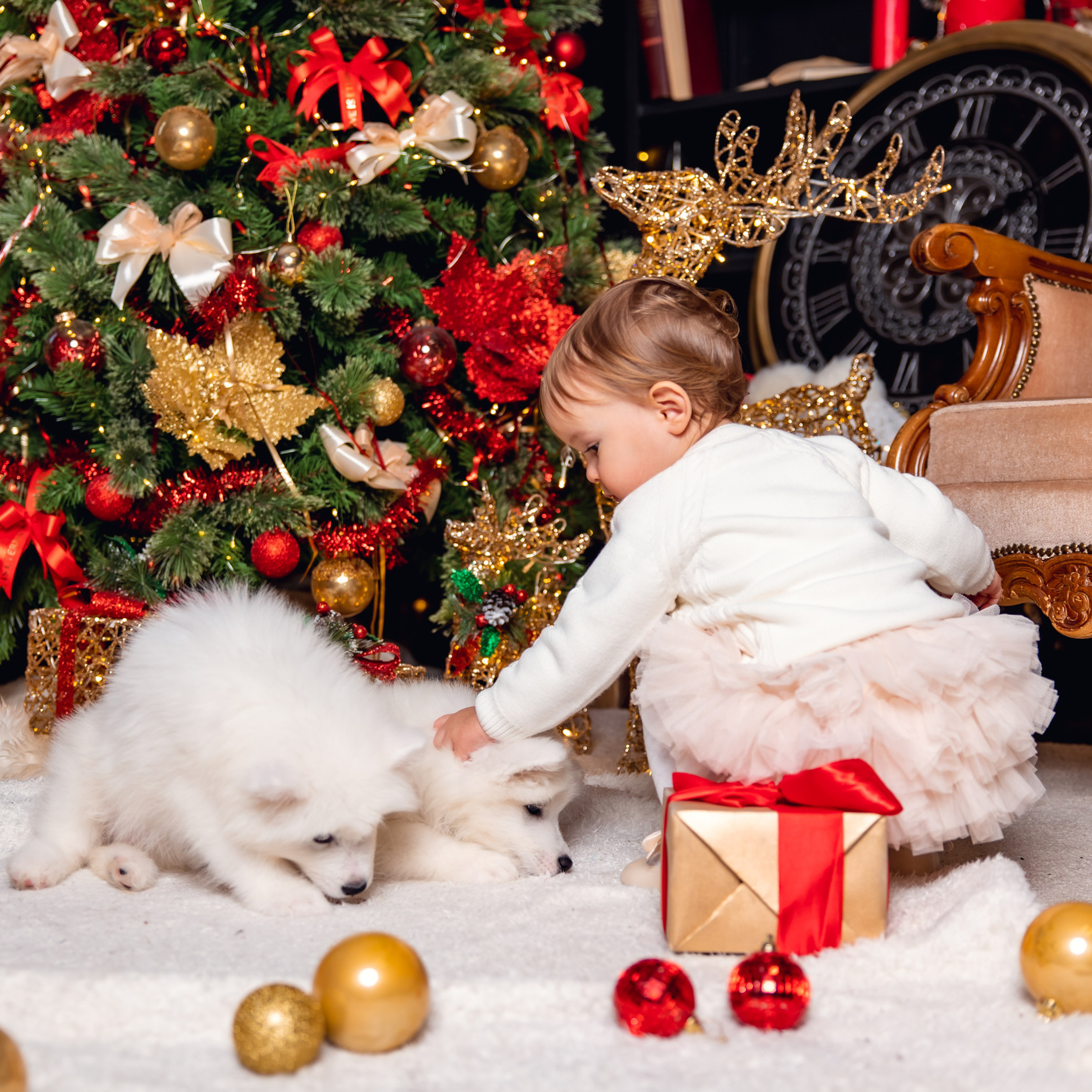 Приятные слова и отзывы. Дарья Бухреева — фотограф, видеограф и фототерапевт. Москва и мир