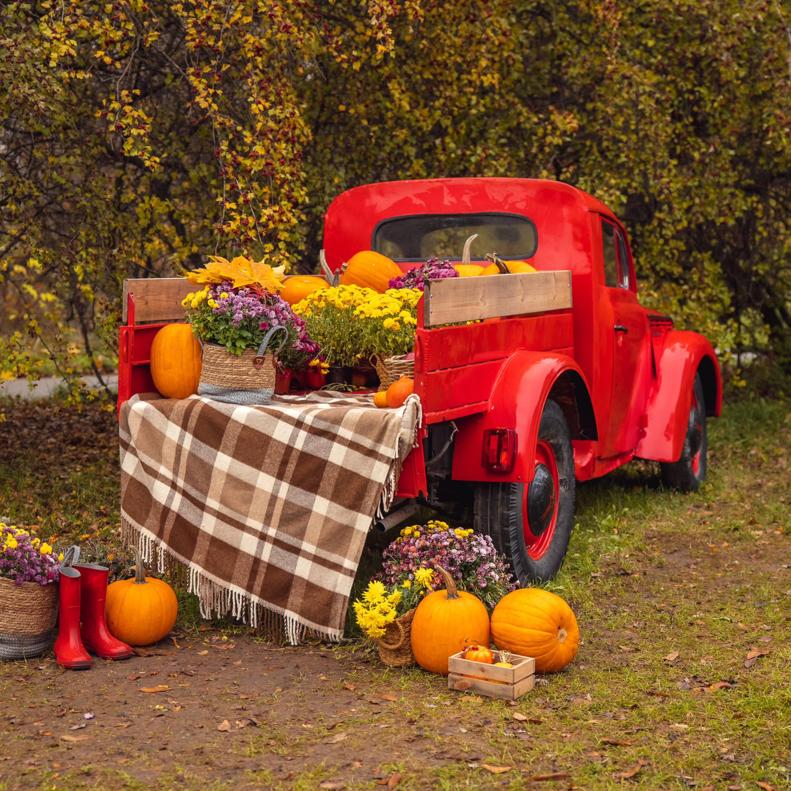 Приятные слова и отзывы. Дарья Бухреева — фотограф, видеограф и фототерапевт. Москва и мир