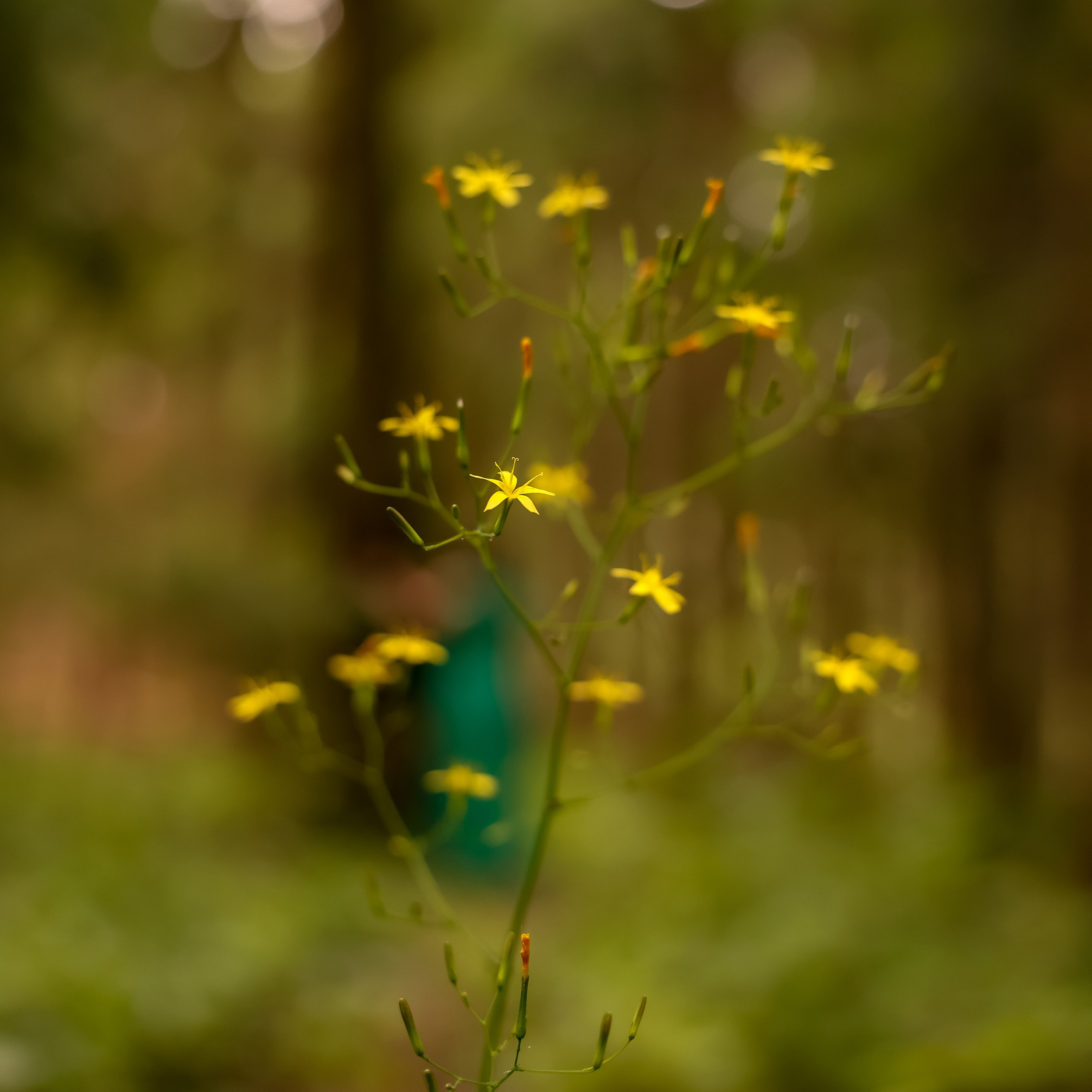 Кейсы. Дарья Бухреева — фотограф, видеограф и фототерапевт. Москва и мир