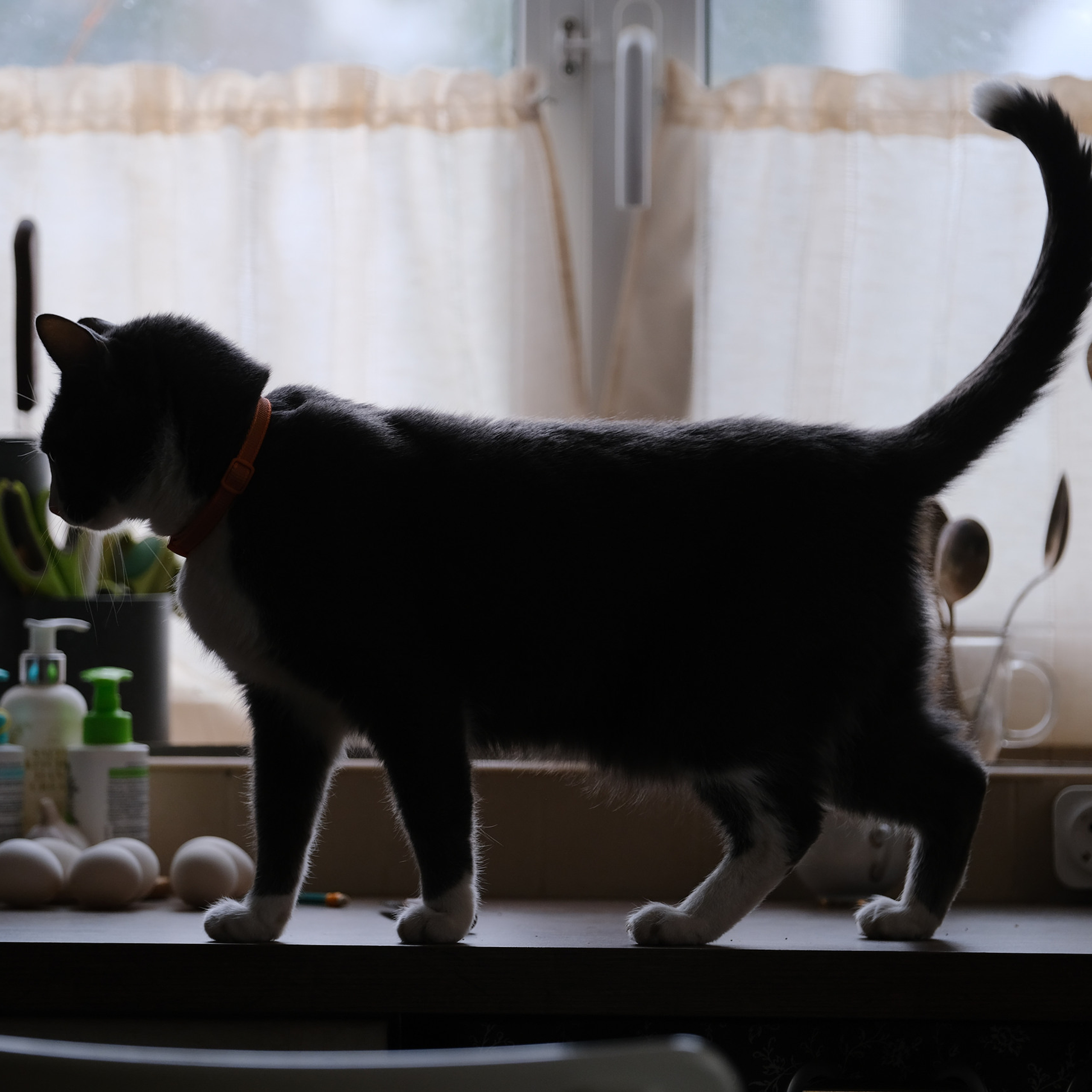 Отзывы о фотографе. Сергей Грачев профессиональный фотограф в Санкт-Петербурге