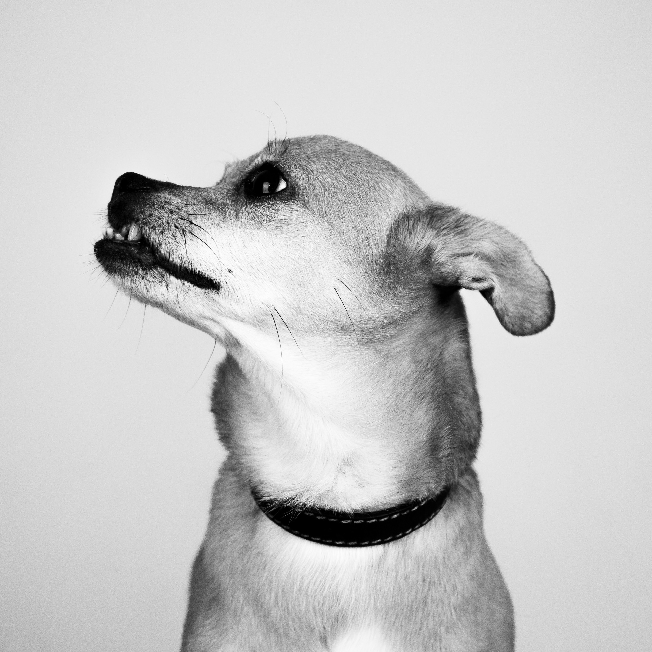 Отзывы. Кучерявая || Фотограф || Самара·Питер·Москва