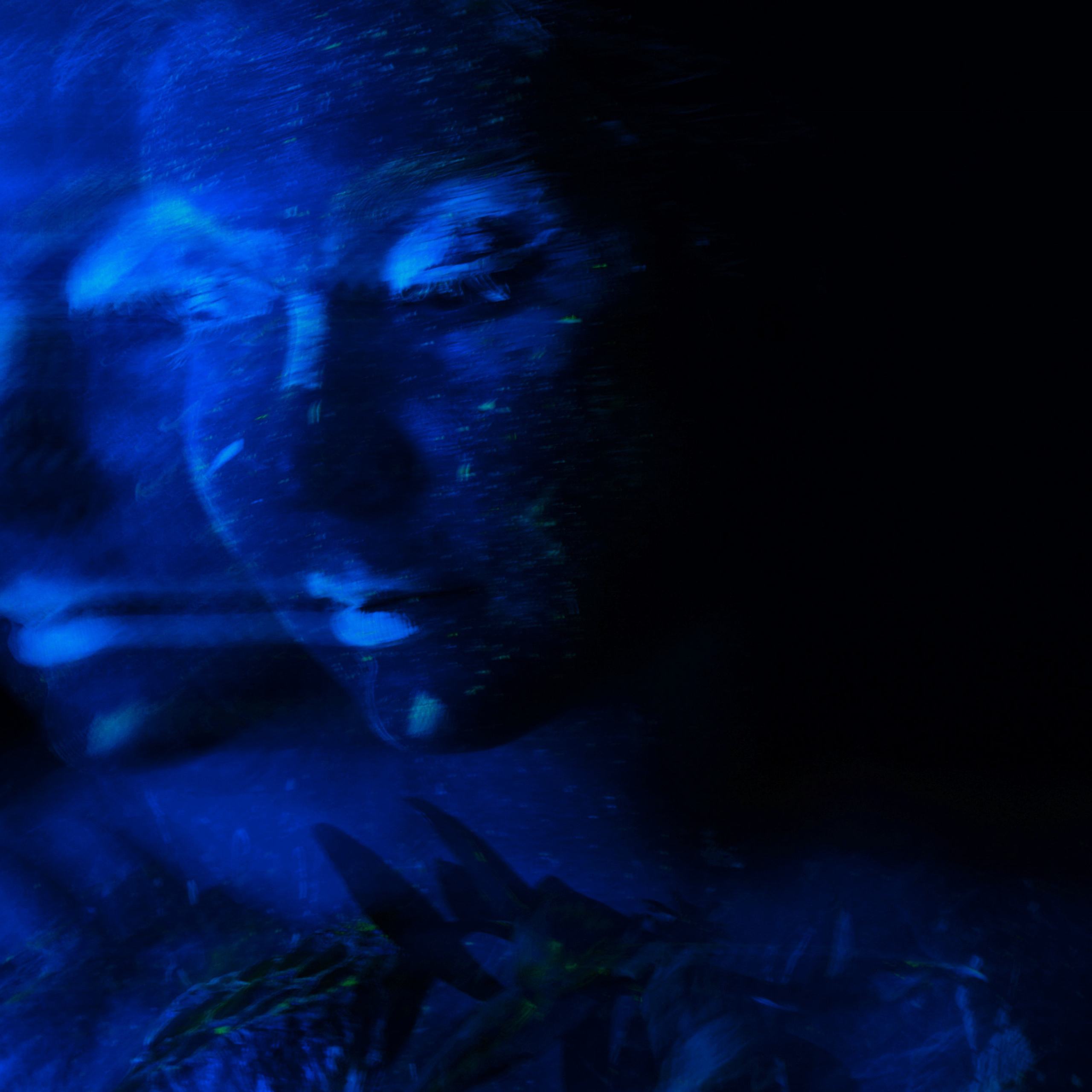 Отзывы. Кучерявая || Фотограф || Самара·Питер·Москва