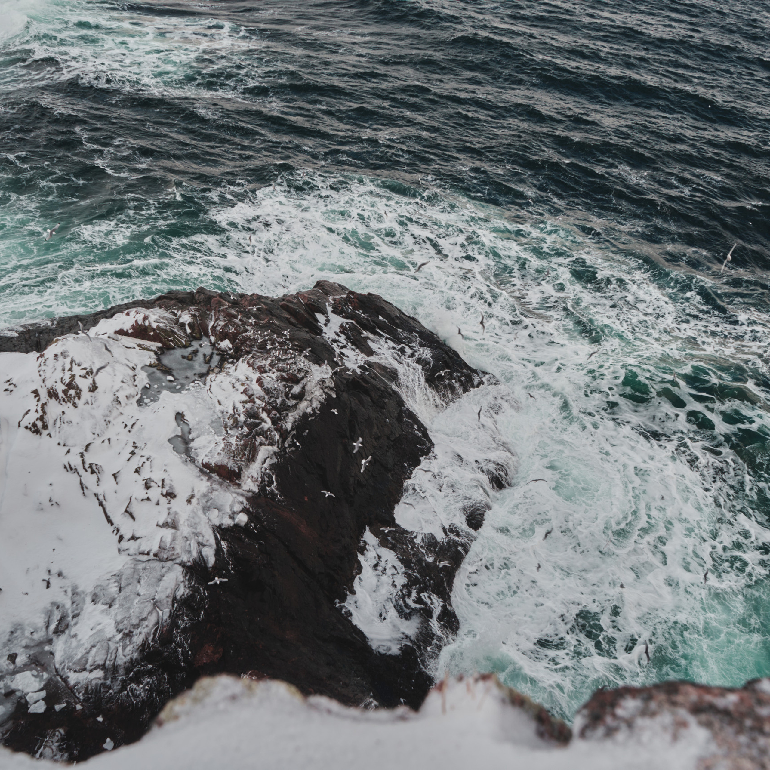 Отзывы. Кучерявая || Фотограф || Самара·Питер·Москва