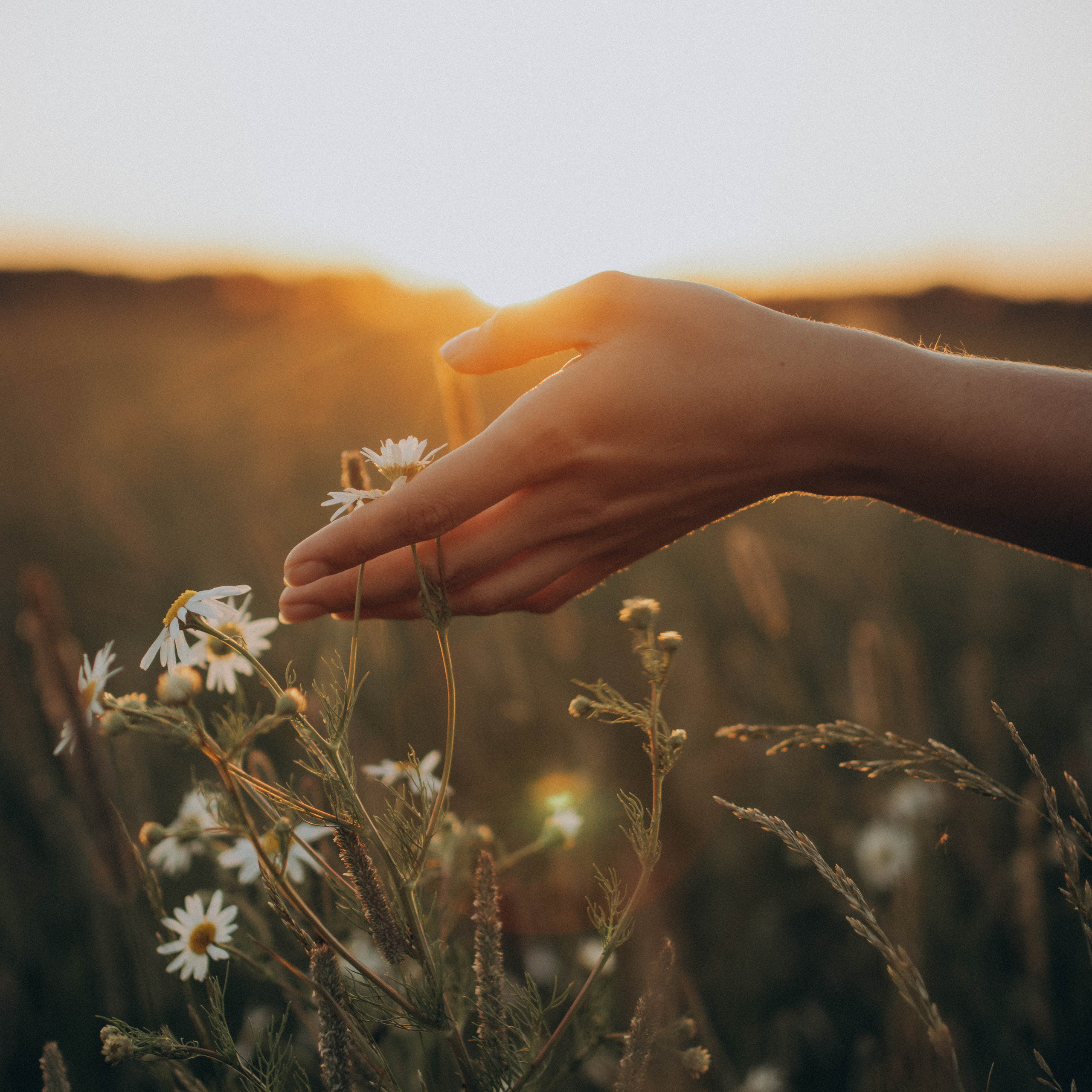 Отзывы. Фотограф в Санкт-Петербурге Ольга Гиляревская