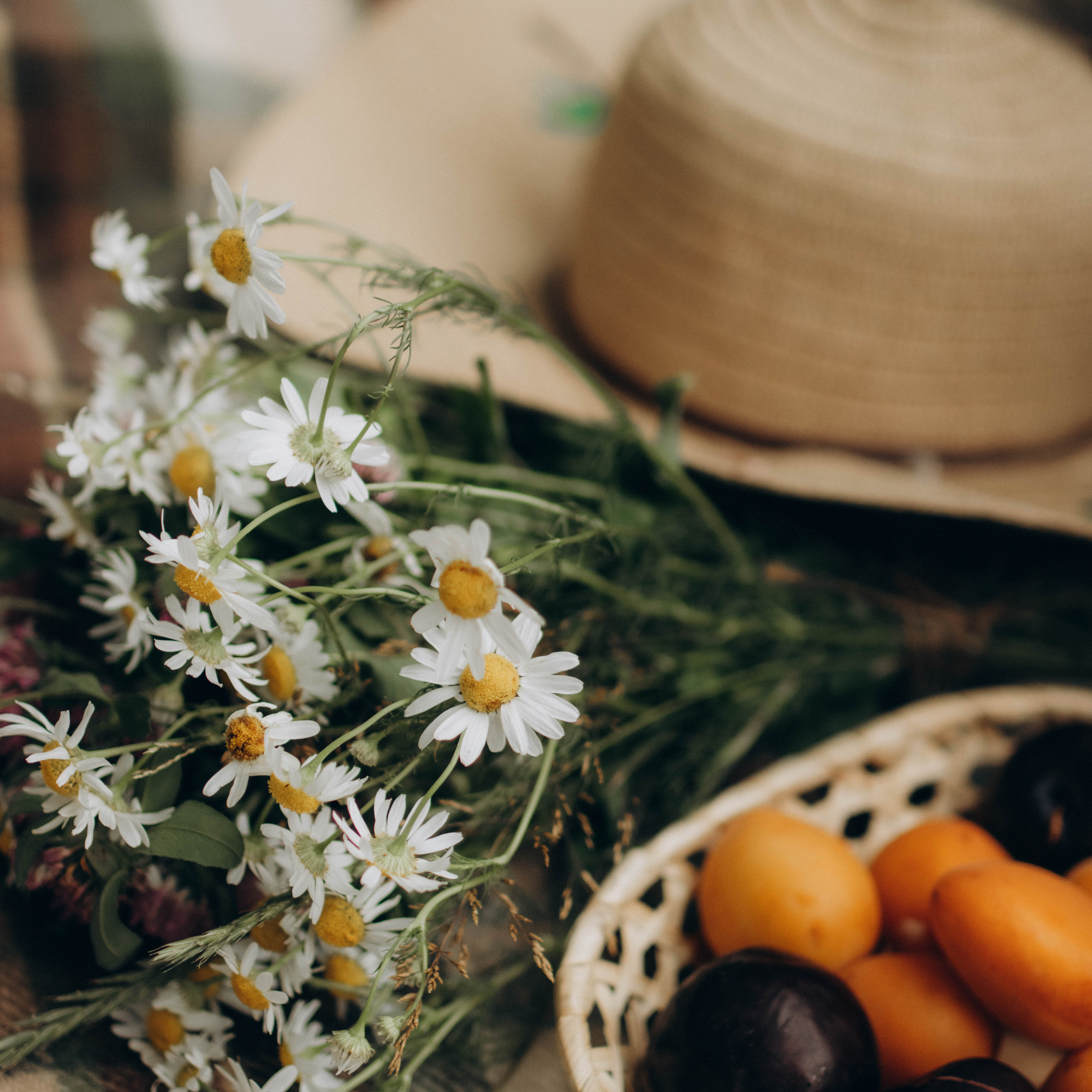 Отзывы. Фотограф в Санкт-Петербурге Ольга Гиляревская