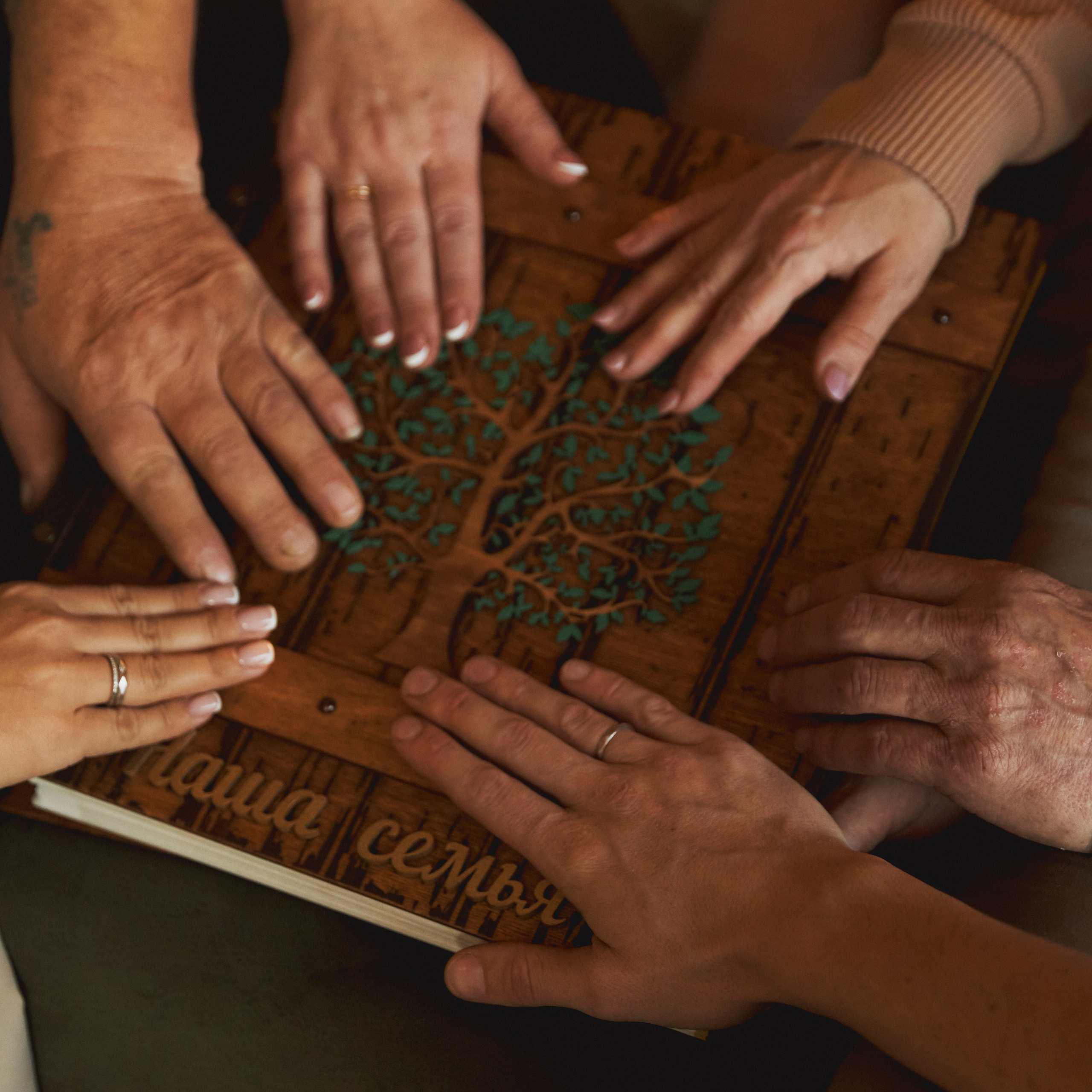 Мед и Дерево