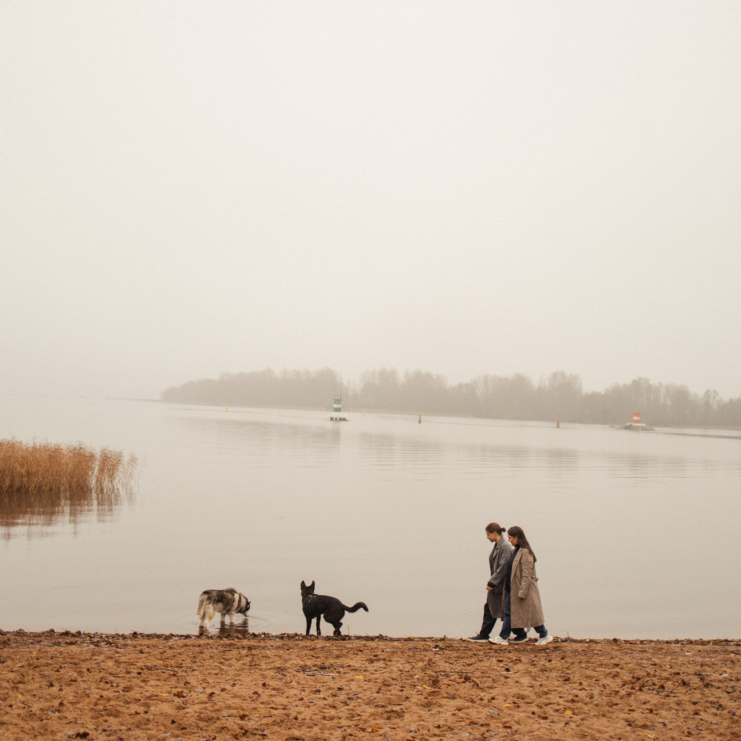 Лена, Глеб, Ральф и Рэй