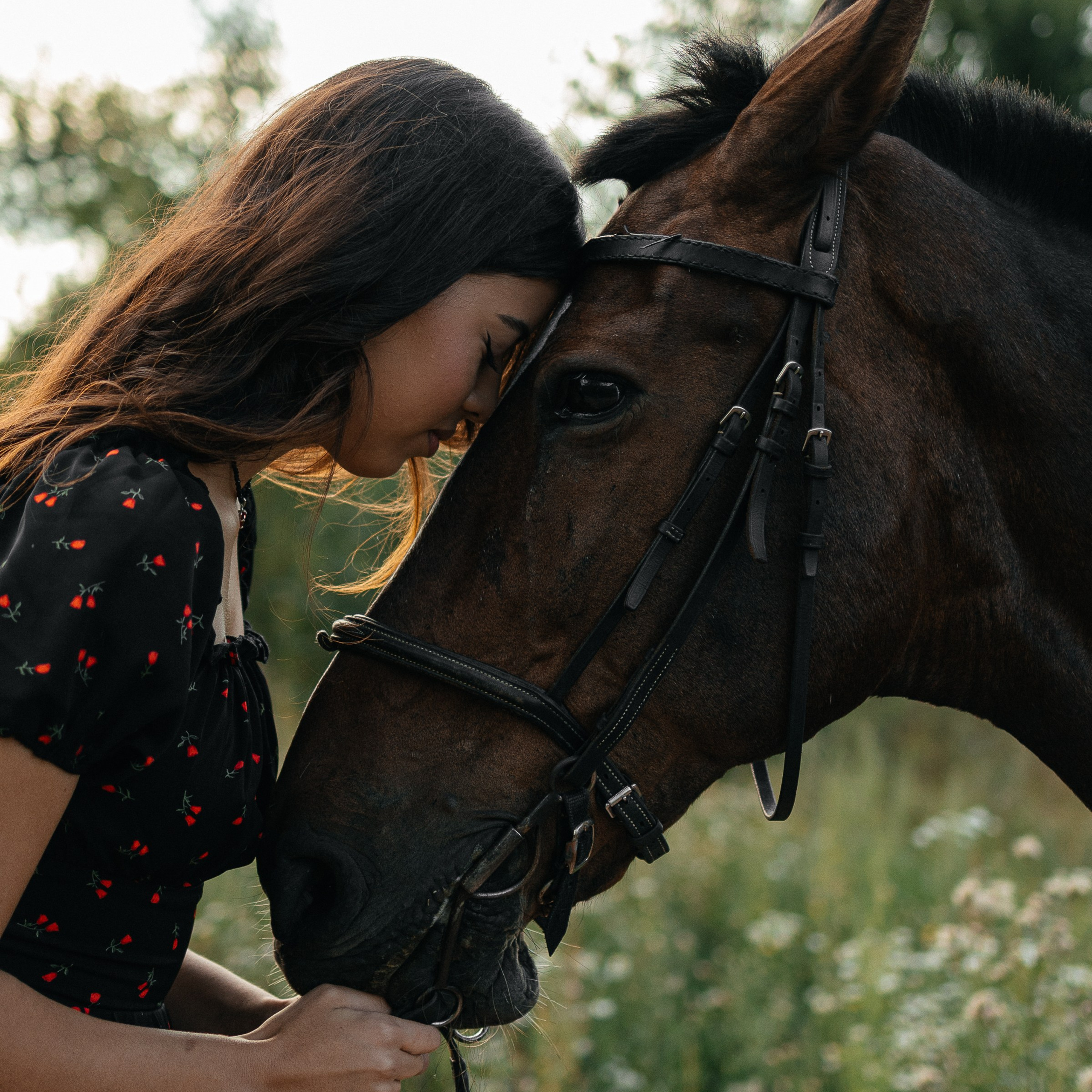 Даша/конюшня