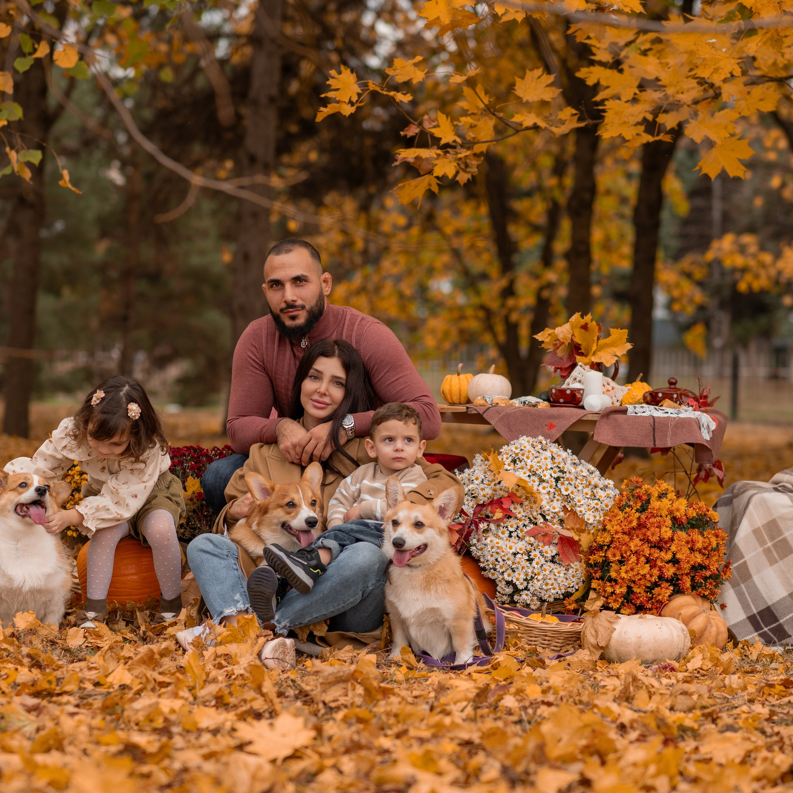 Осенний фотодень