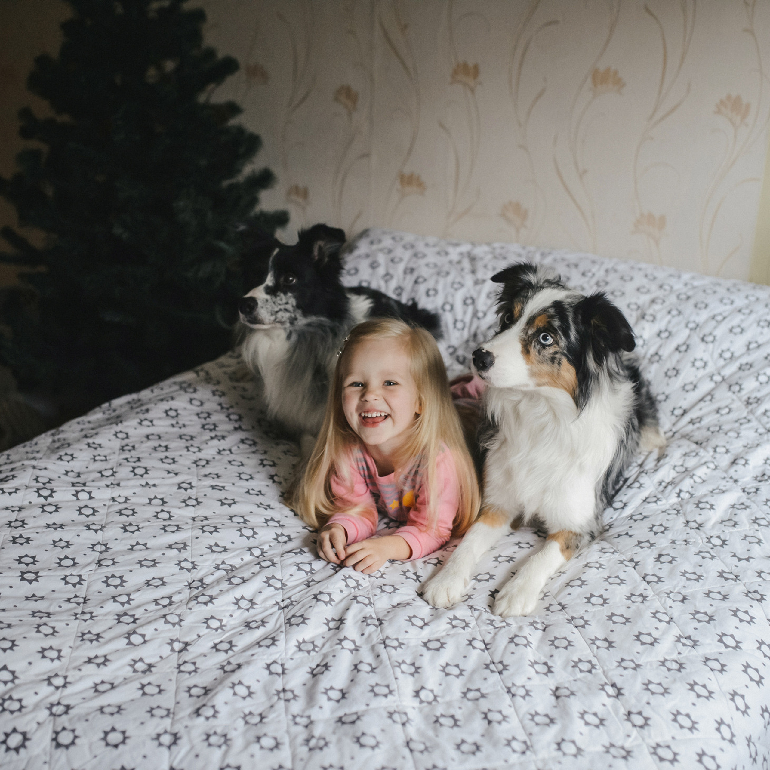 Теплый вечер в ожидании Нового года