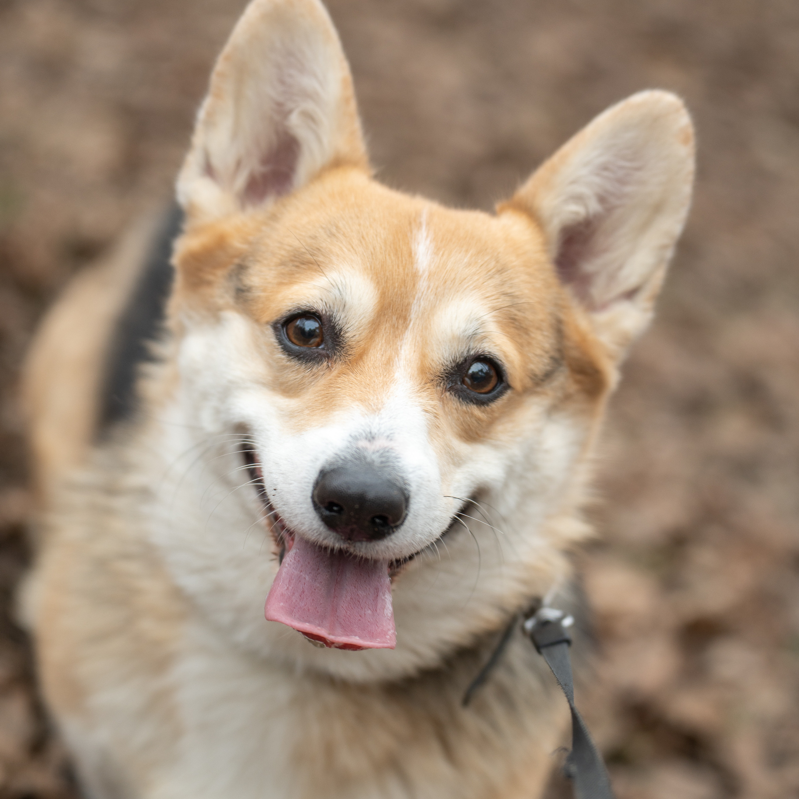 Отзывы о работе фотографа в Москве. Портретный фотограф Олеся Владимирова в Москве