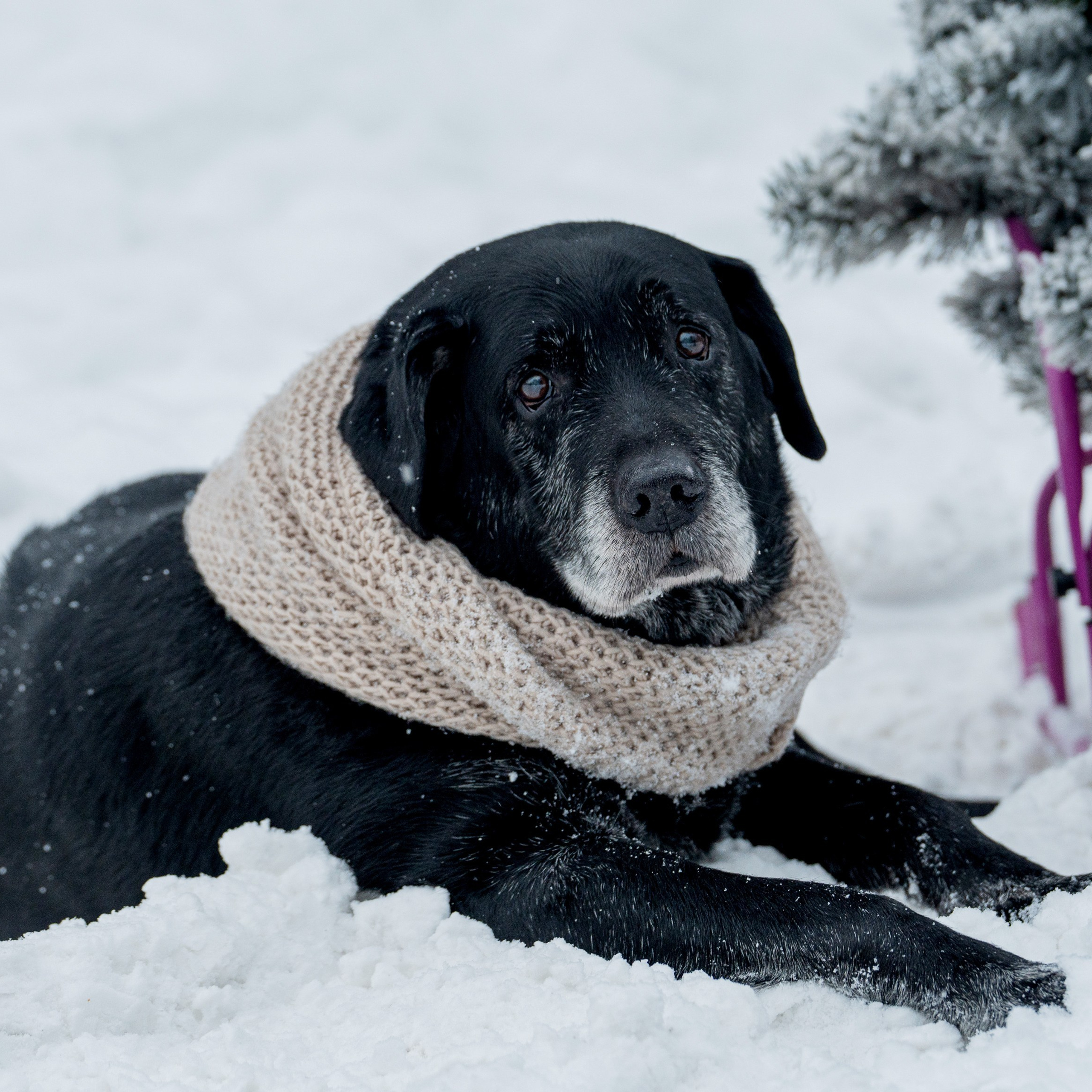 Отзывы о работе фотографа в Москве. Портретный фотограф Олеся Владимирова в Москве