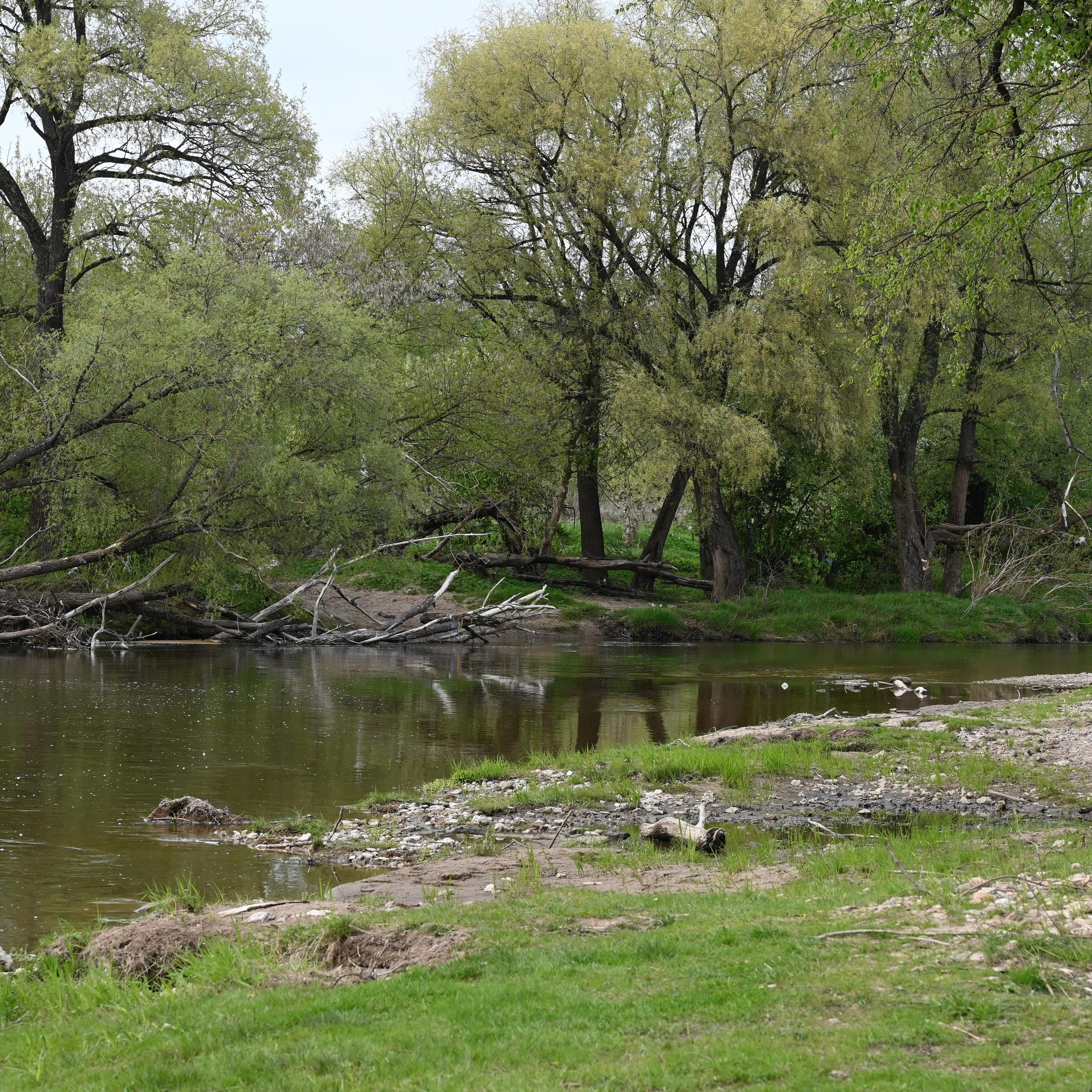 Отзывы. Семейный, детский, репортажный фотограф в Обнинске Соколова Ольга