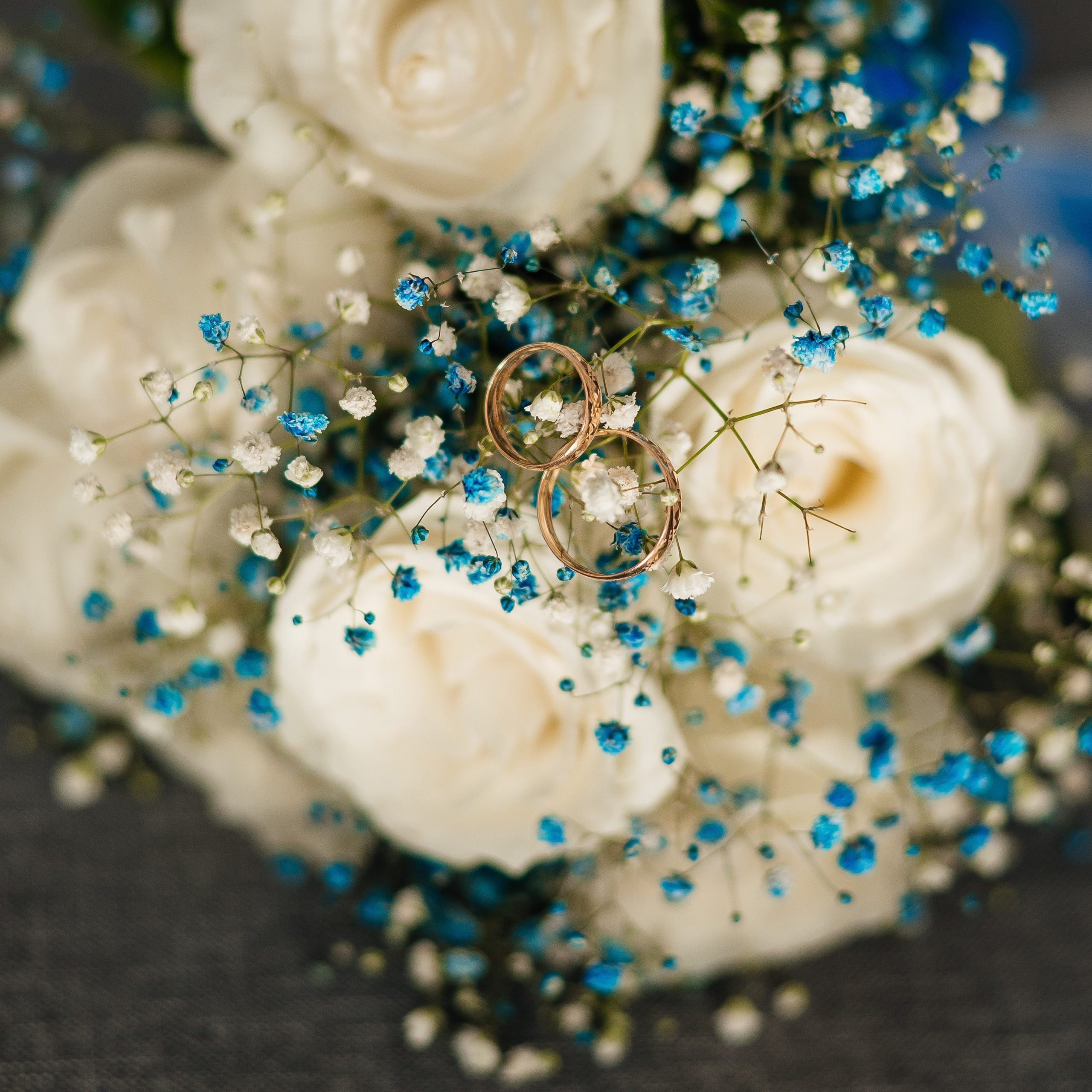 Отзывы. Свадебный, семейный и школьный фотограф в Бийске Ксения Мамаева