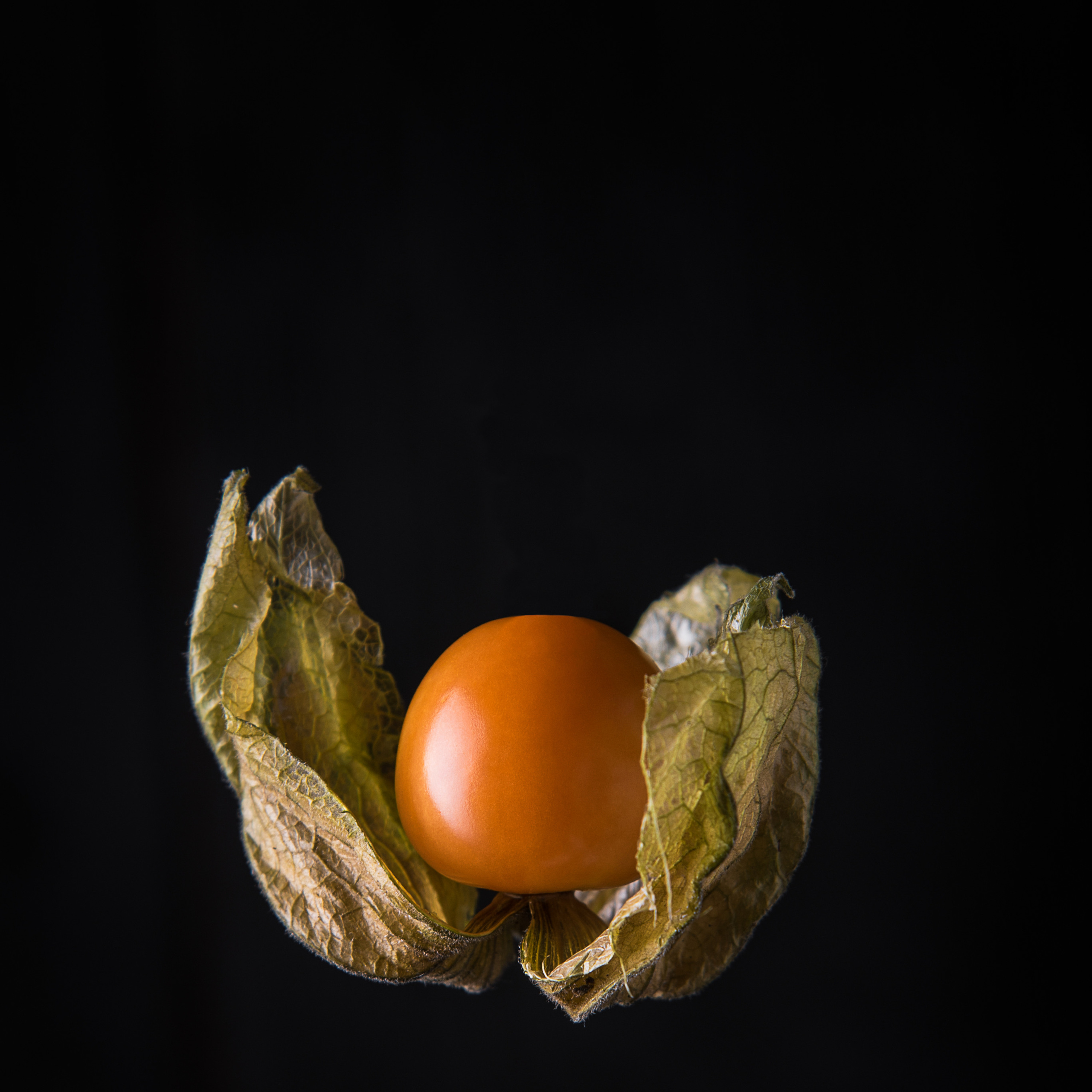 Портфолио. Фуд фотограф в Москве Коломыченко Максим