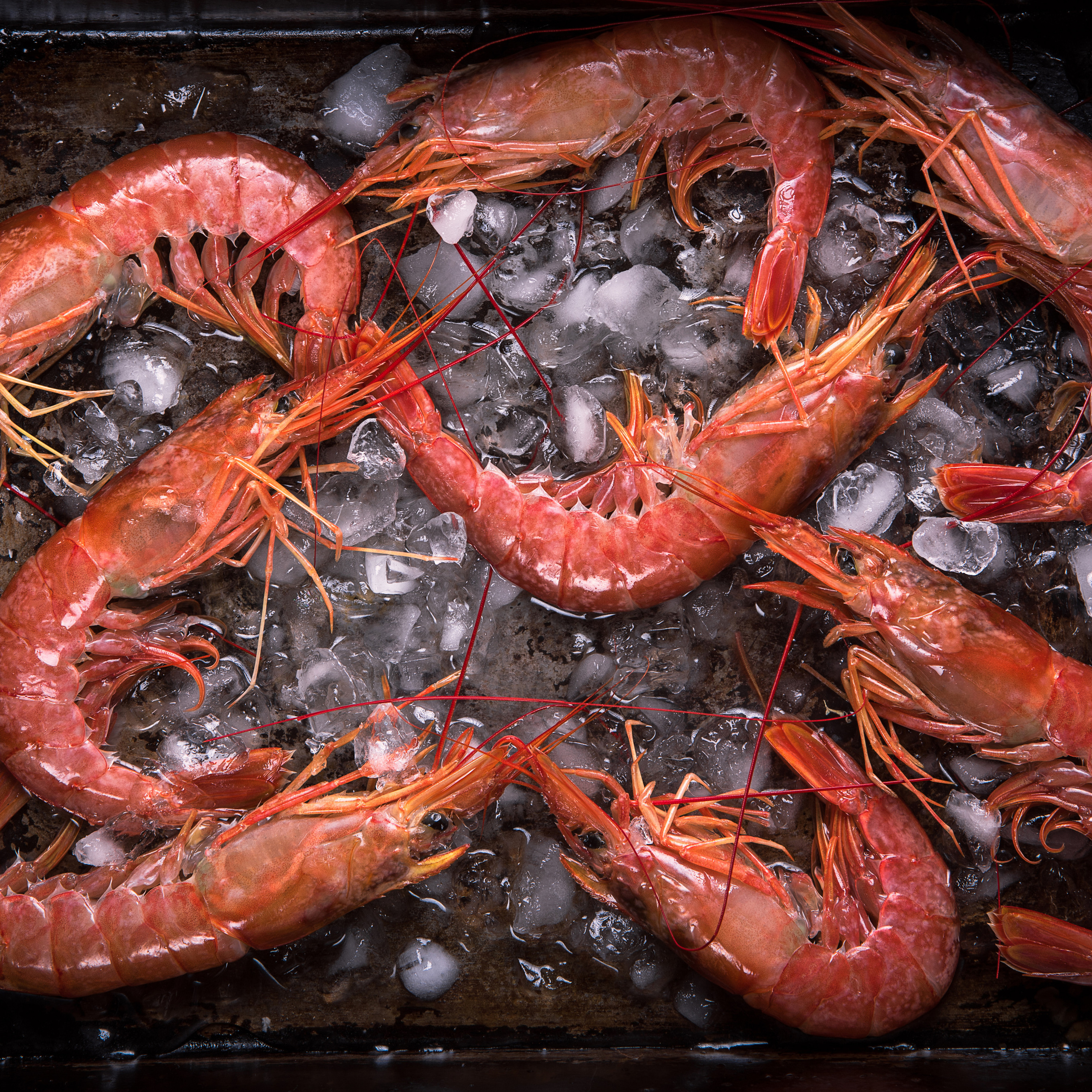 Портфолио. Фуд фотограф в Москве Коломыченко Максим