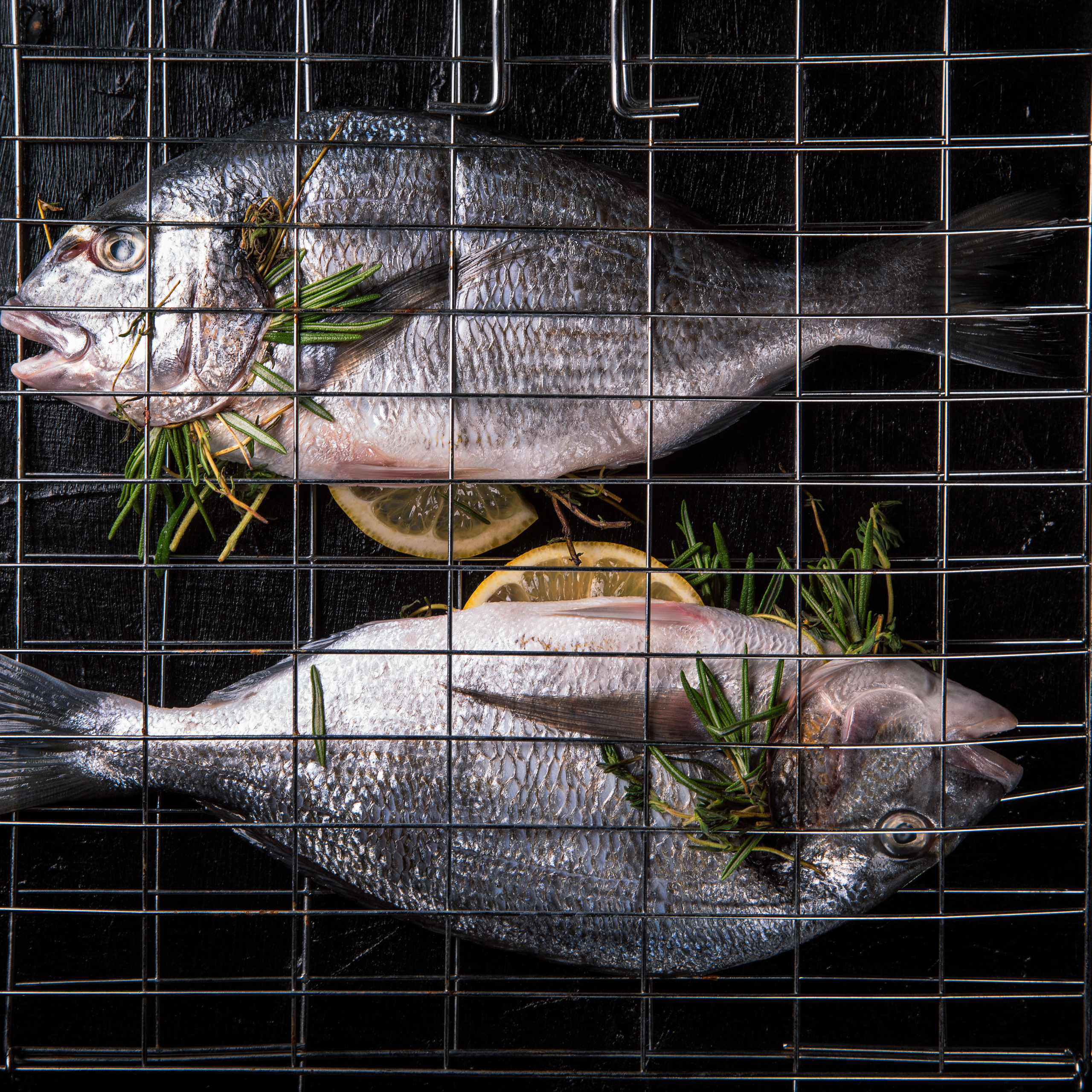 Портфолио. Фуд фотограф в Москве Коломыченко Максим