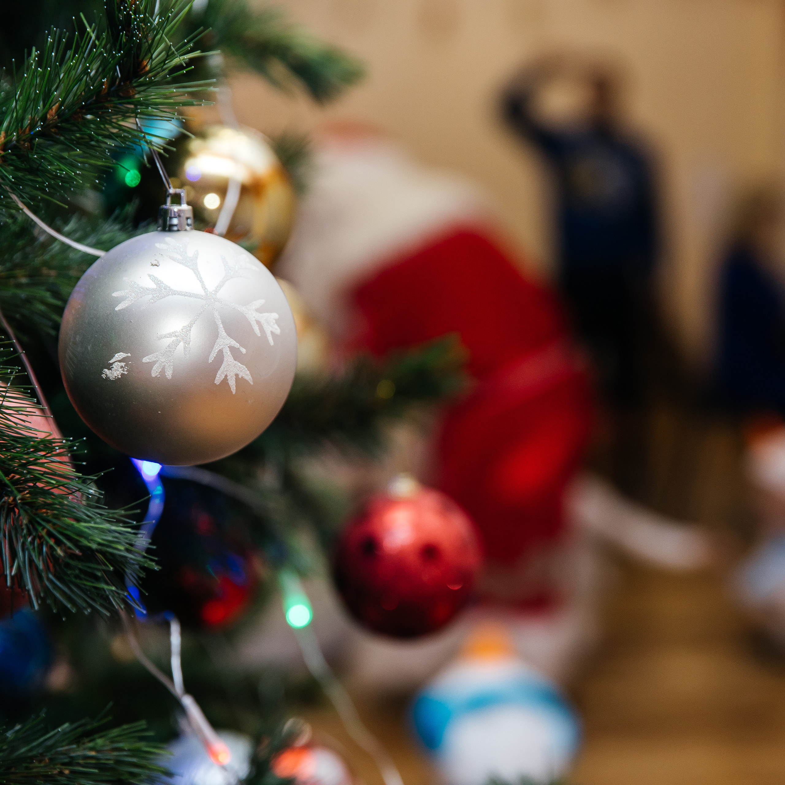 «Ромашки» 2022