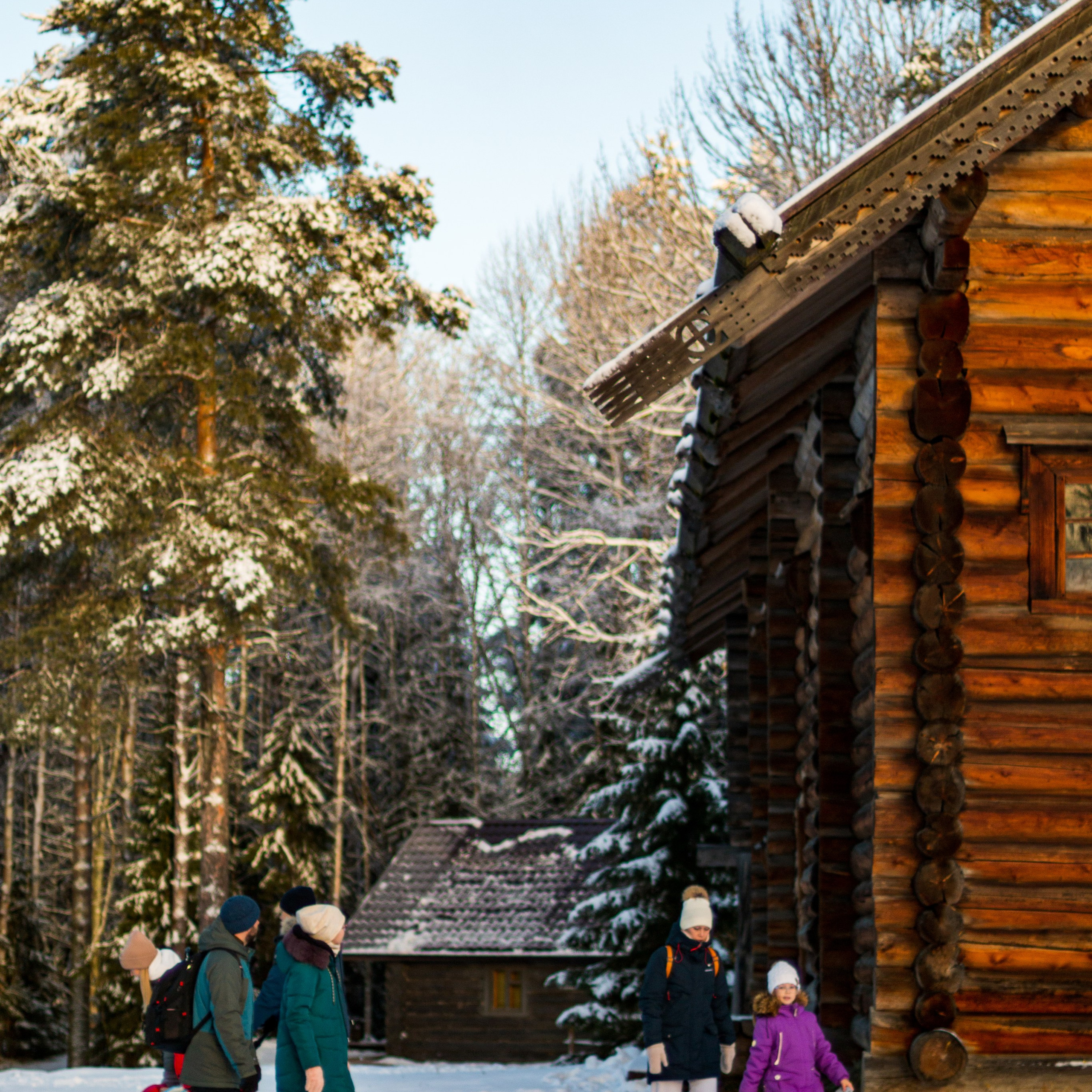 Русский Север, Малые карелы
