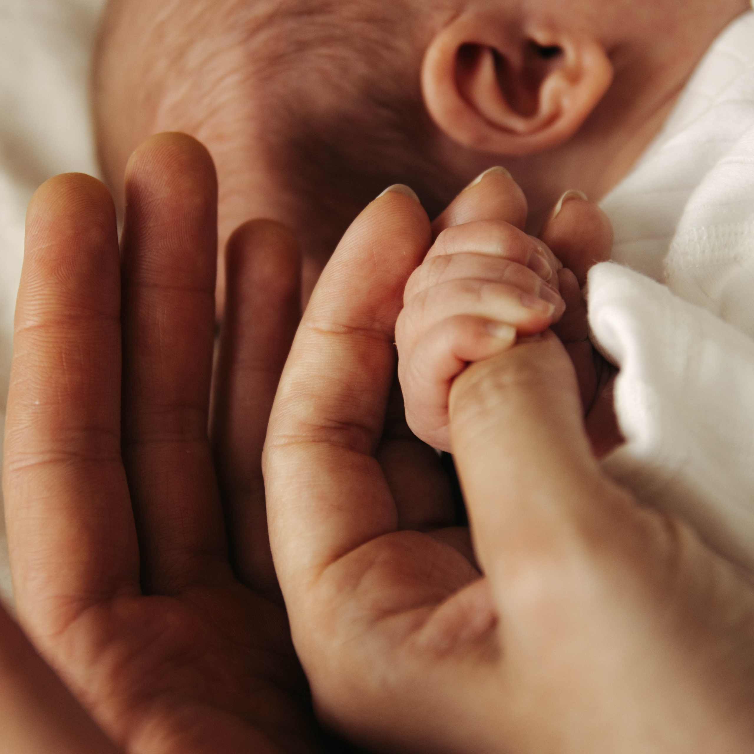 СЕМЕЙНЫЕ ИСТОРИИ