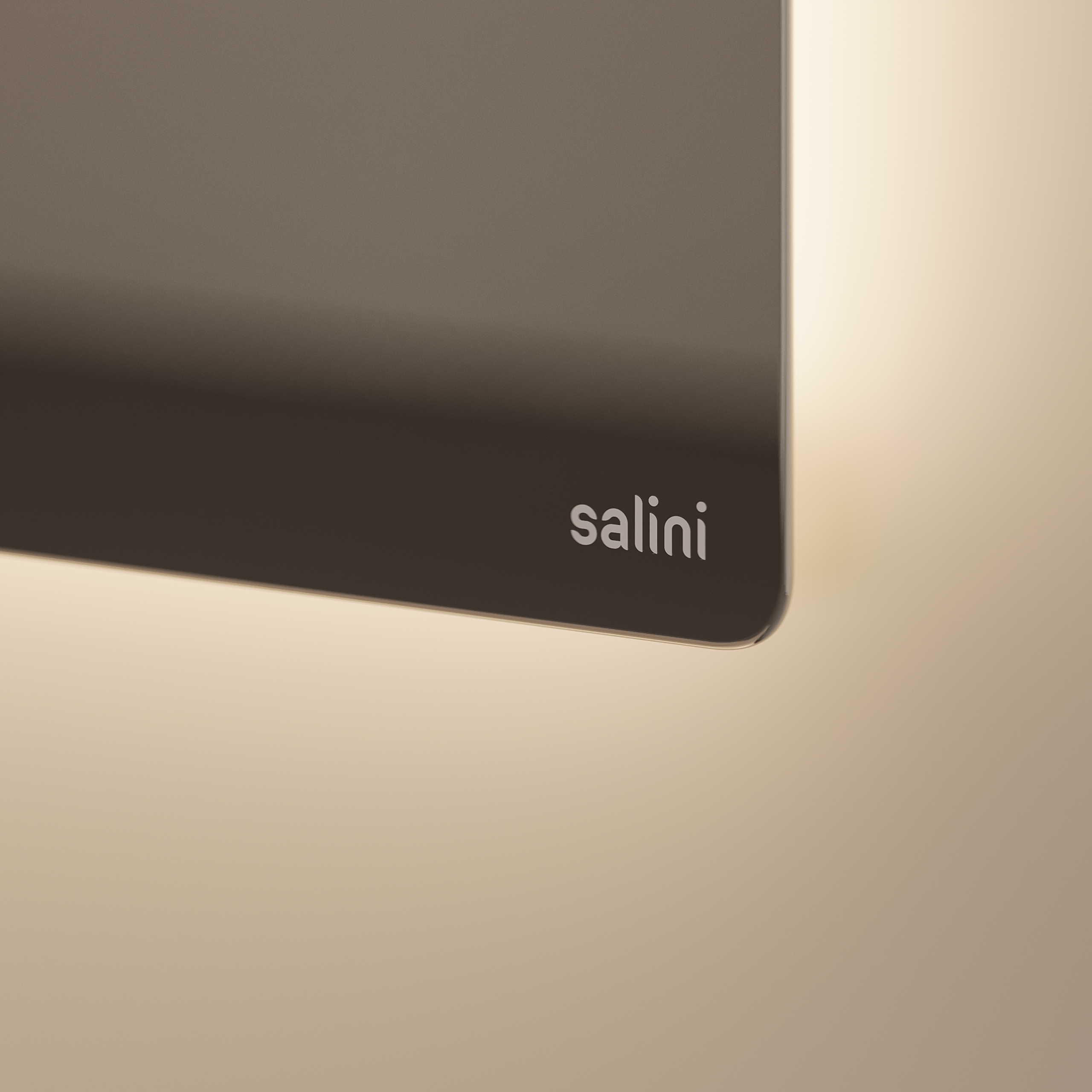 Salini. 3D визуализатор интерьера Антонина Ковалёва @kovalevaacg