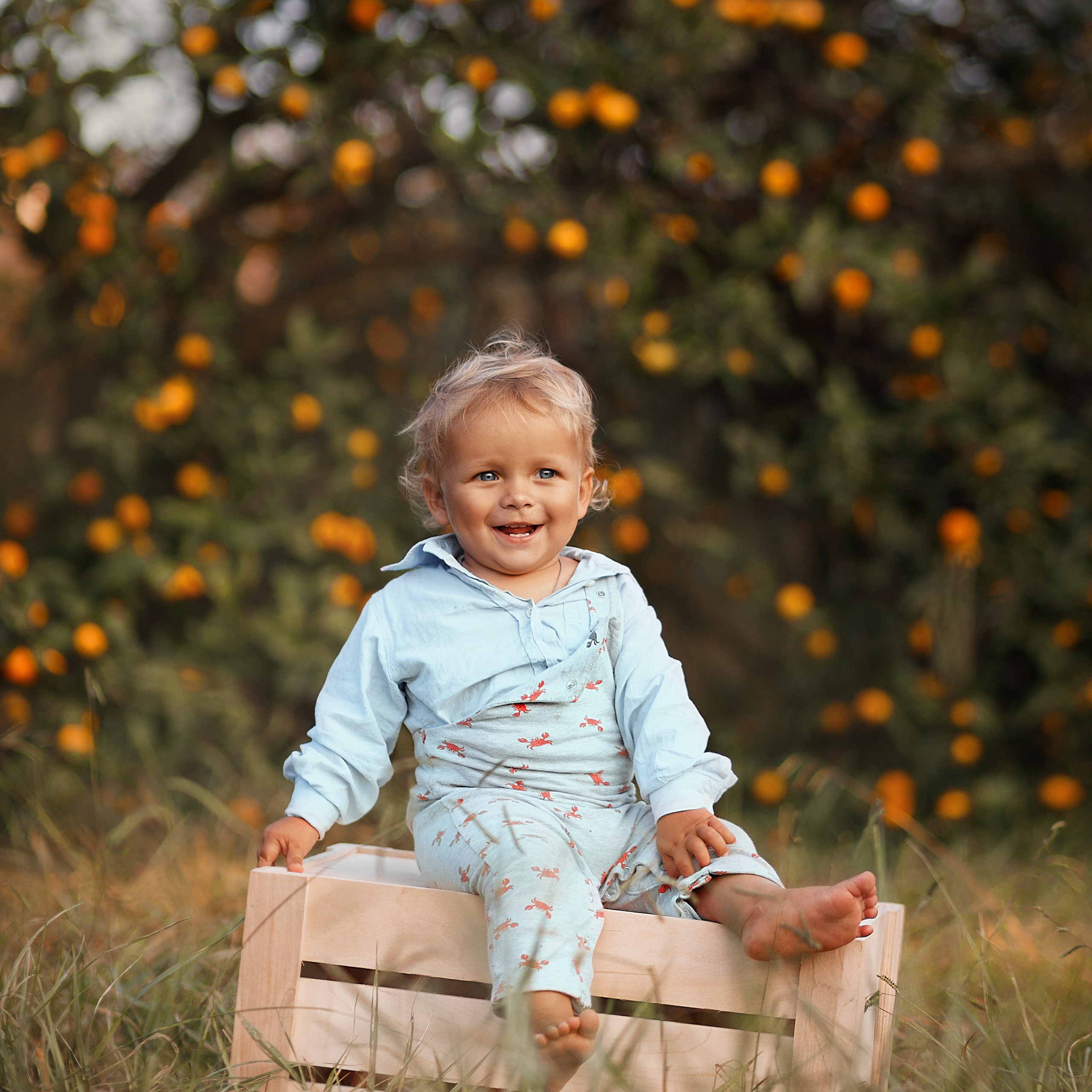 Мандаринки