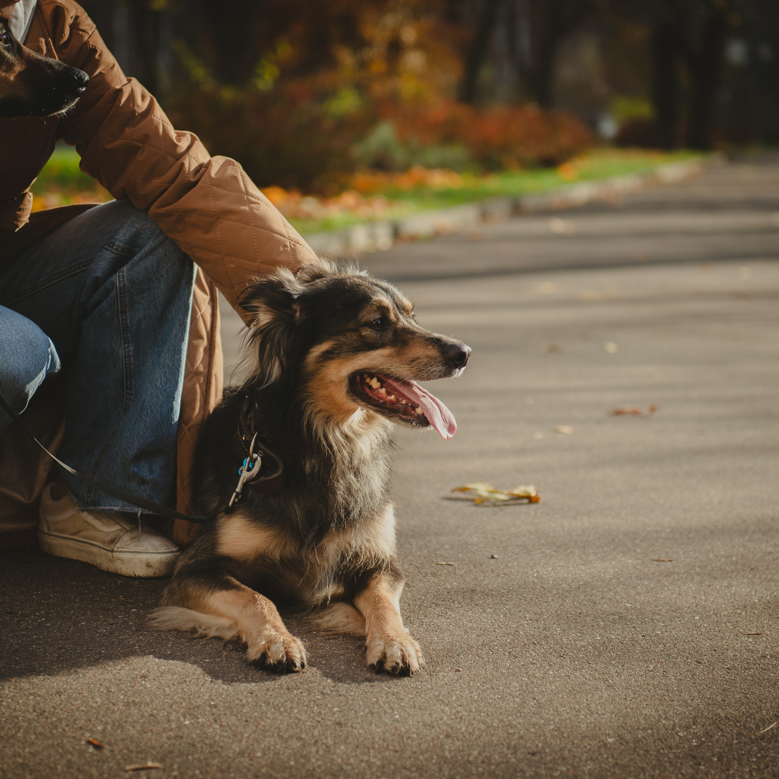 Наташа, Лука и Помпон