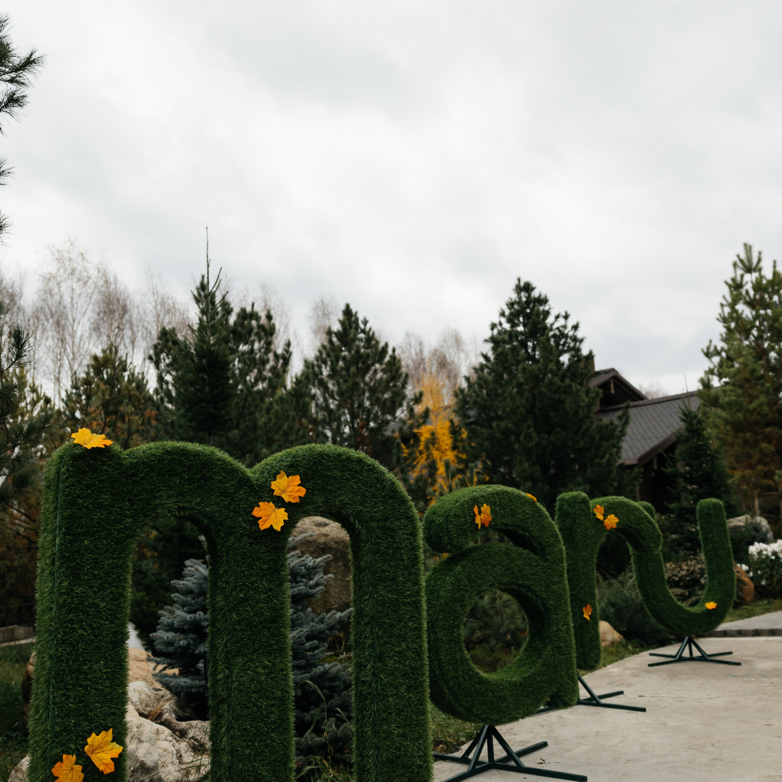 Отзывы. Свадебный и семейный фотограф Рассказова Виктория