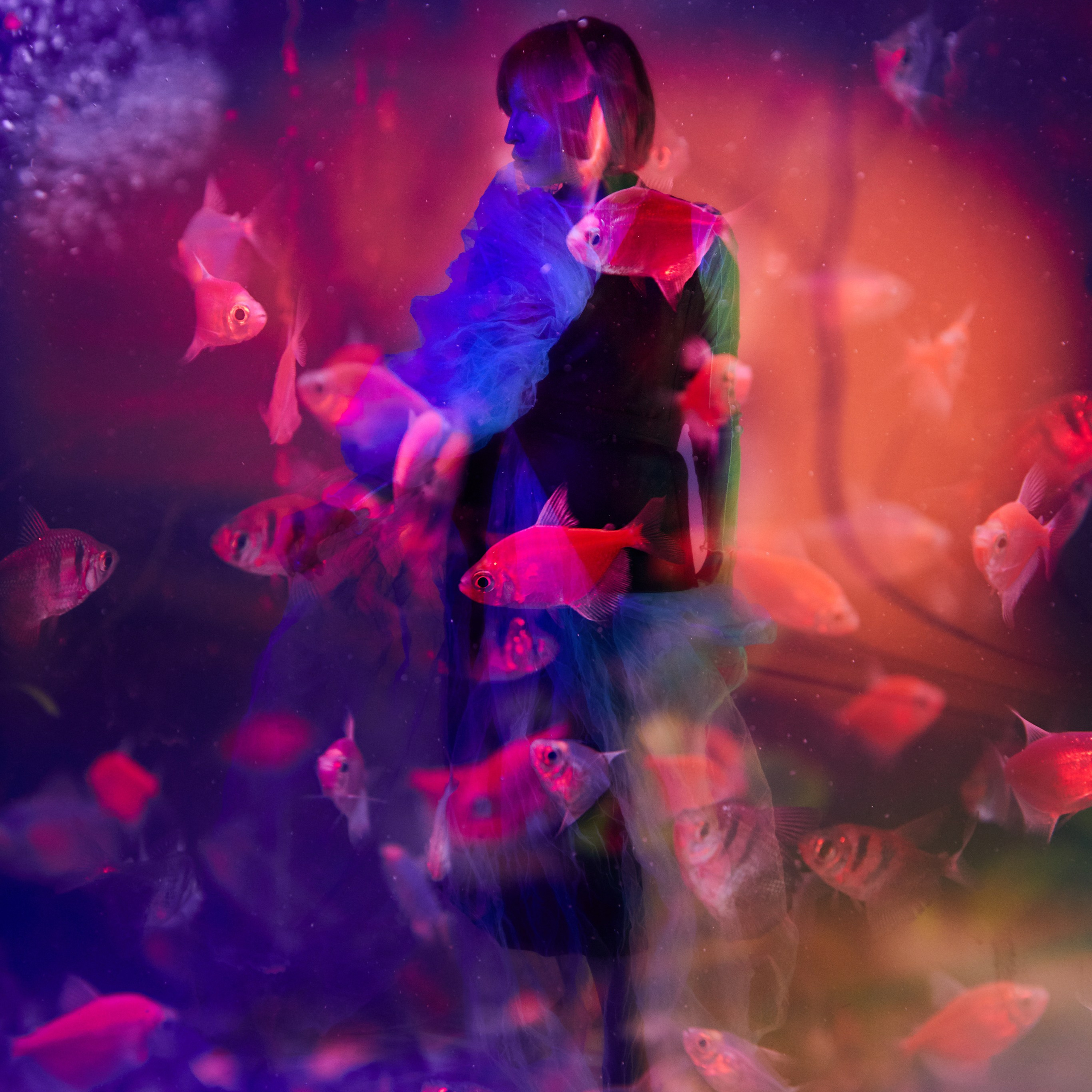 Мультиэкспозиция, цветной свет