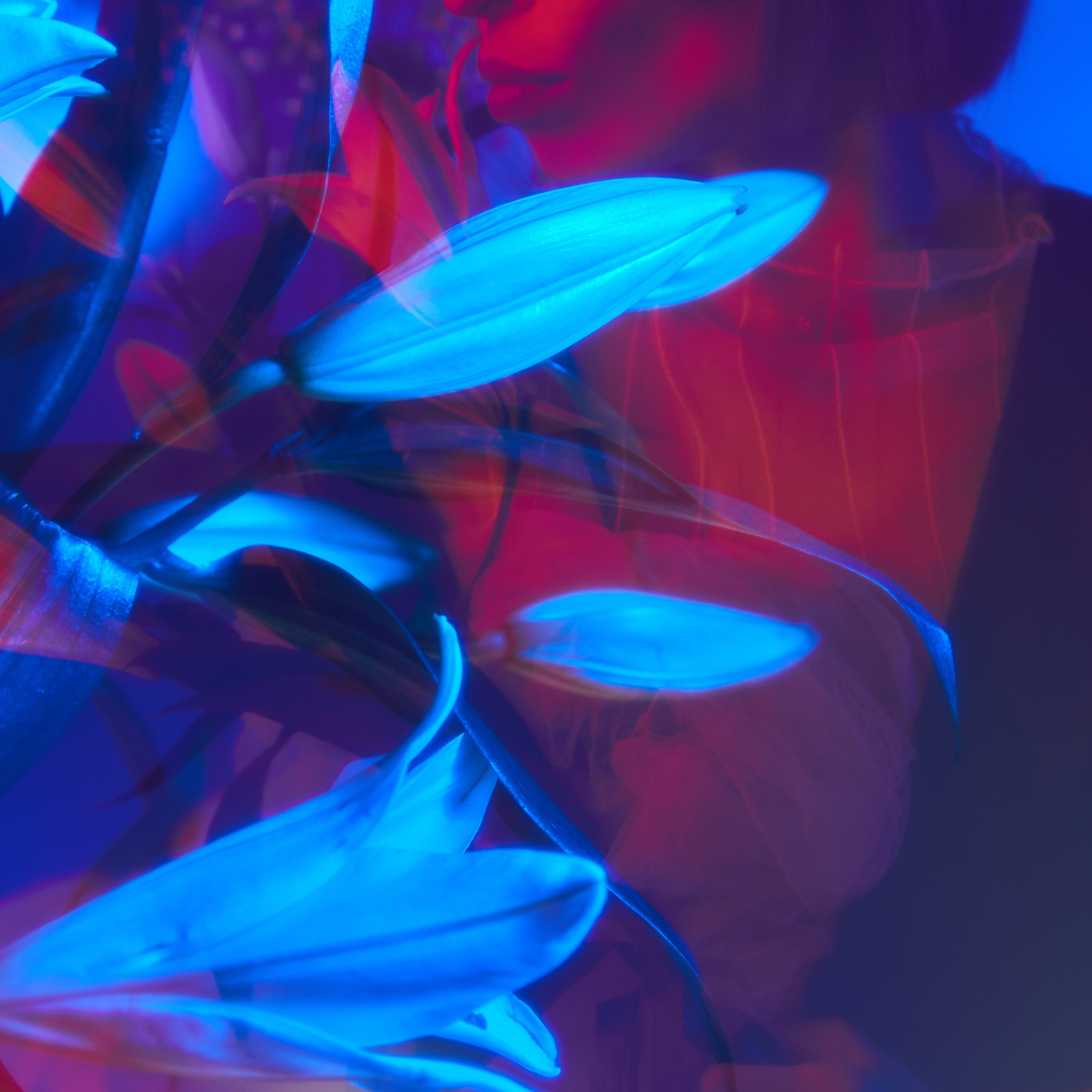 Мультиэкспозиция, цветной свет