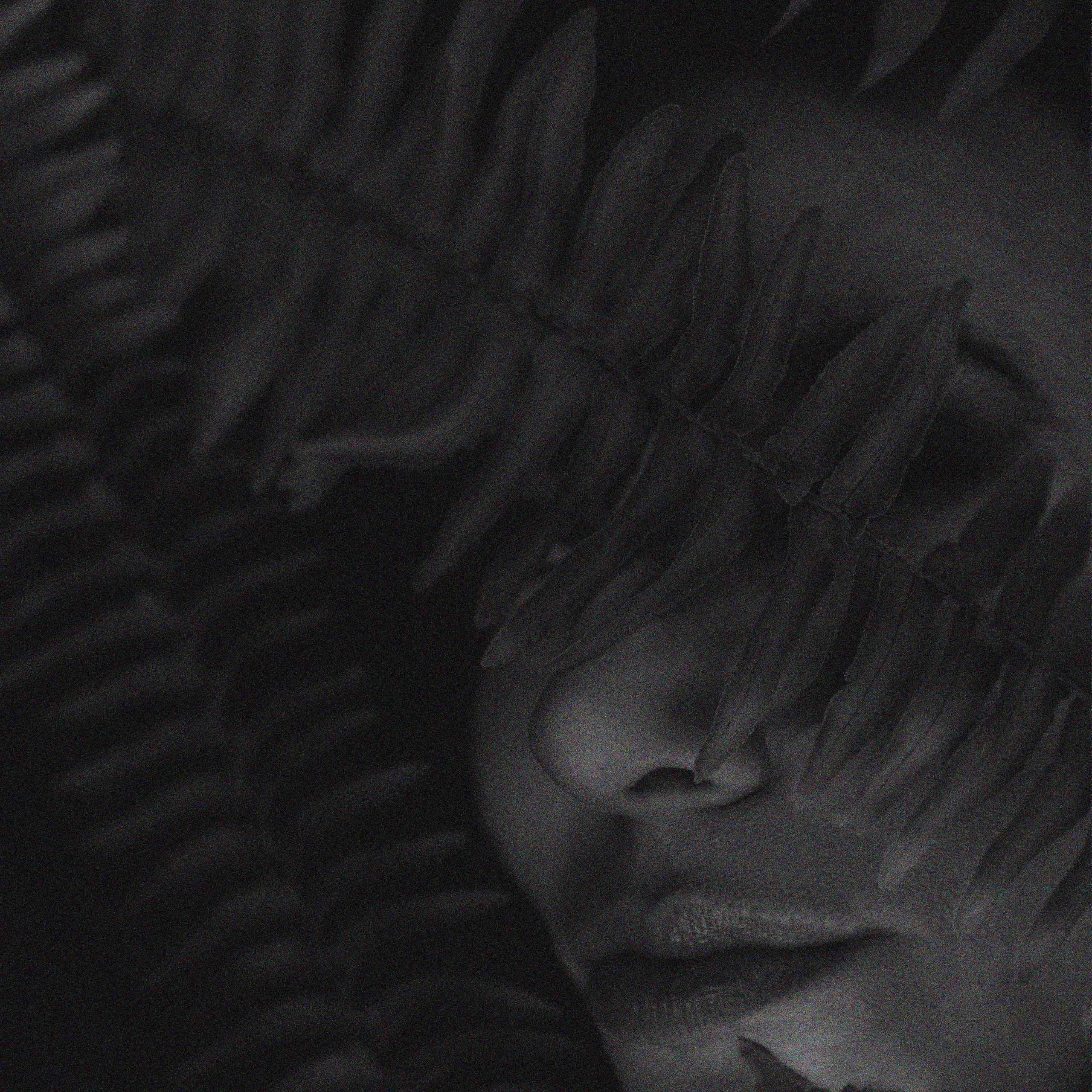 Halloween Themed Photoshoot in Little Red Riding Hood Style