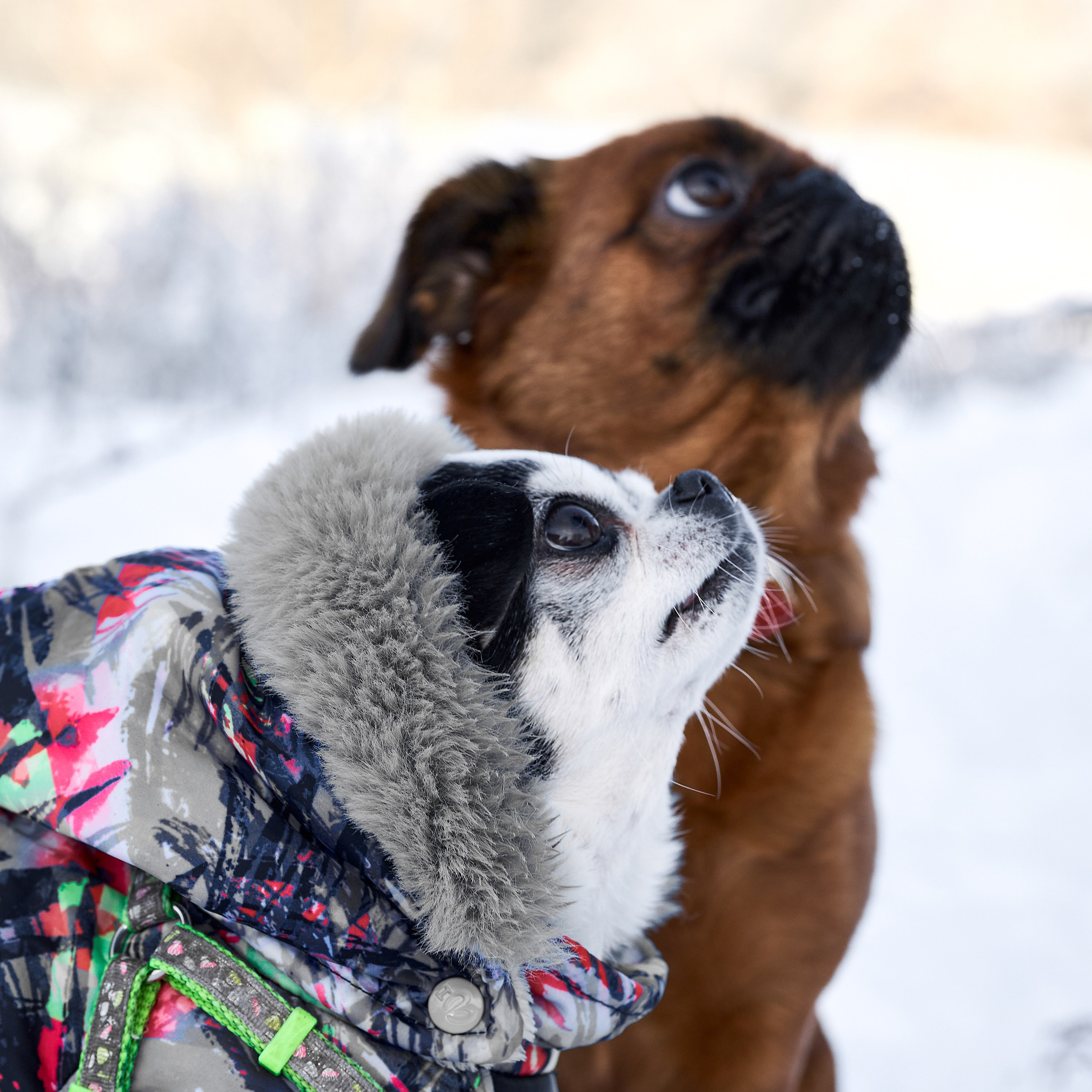 Отзывы моих клиентов. Предметная фото и видеосъемка в Саратове| Профессиональный фотограф