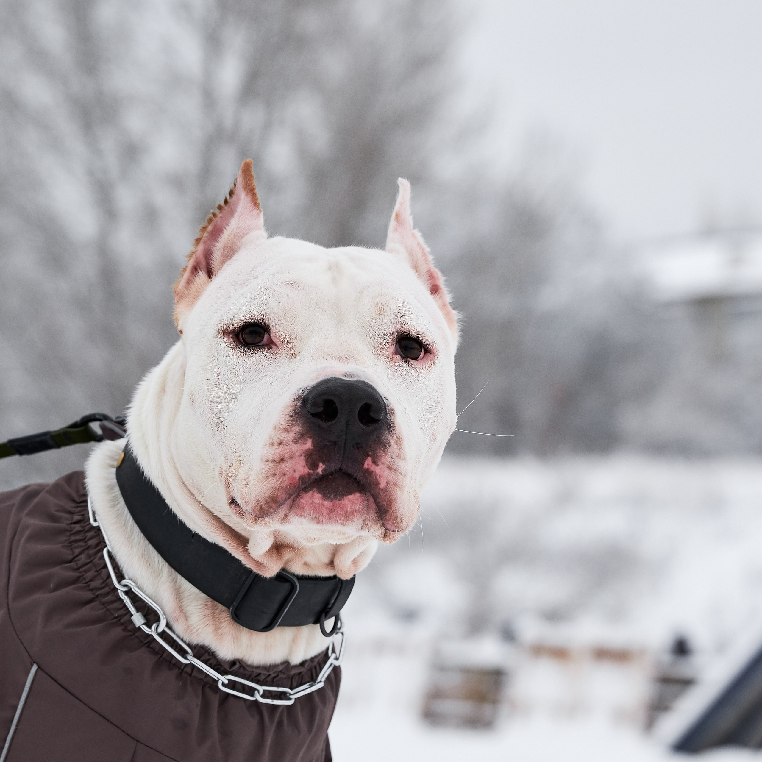 Отзывы моих клиентов. Предметная фото и видеосъемка в Саратове| Профессиональный фотограф