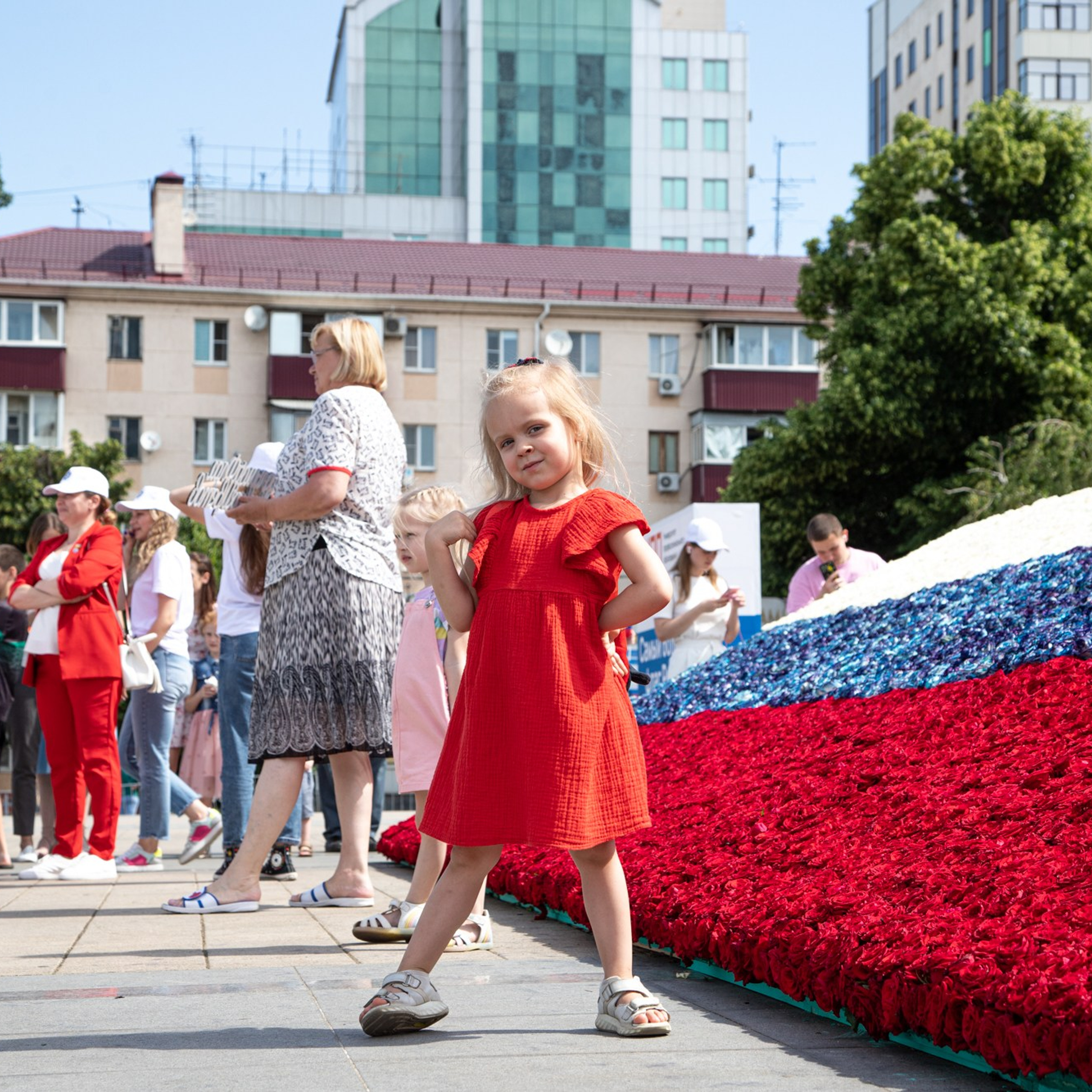 Триколор России из роз