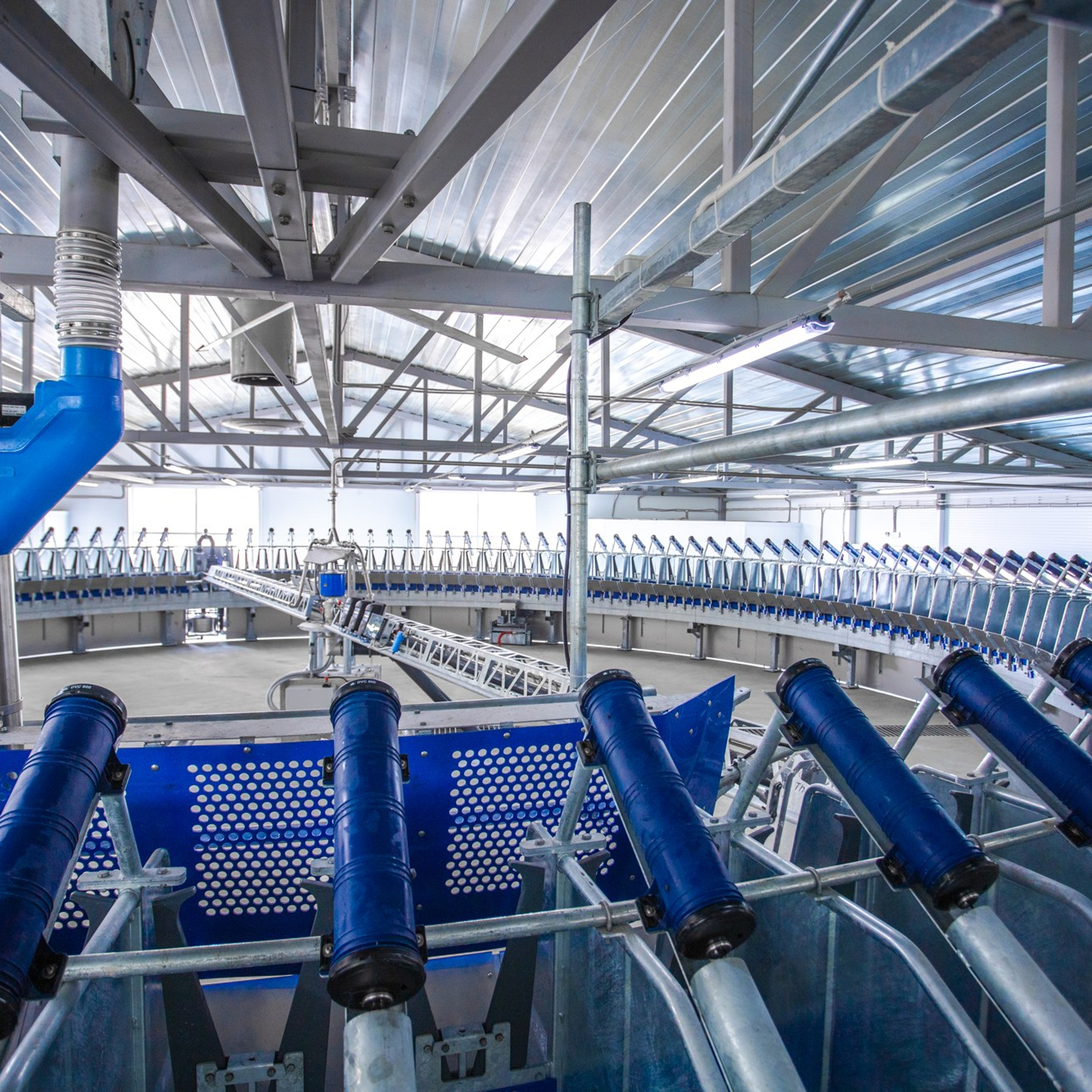 Открытие карусели для дойки скота