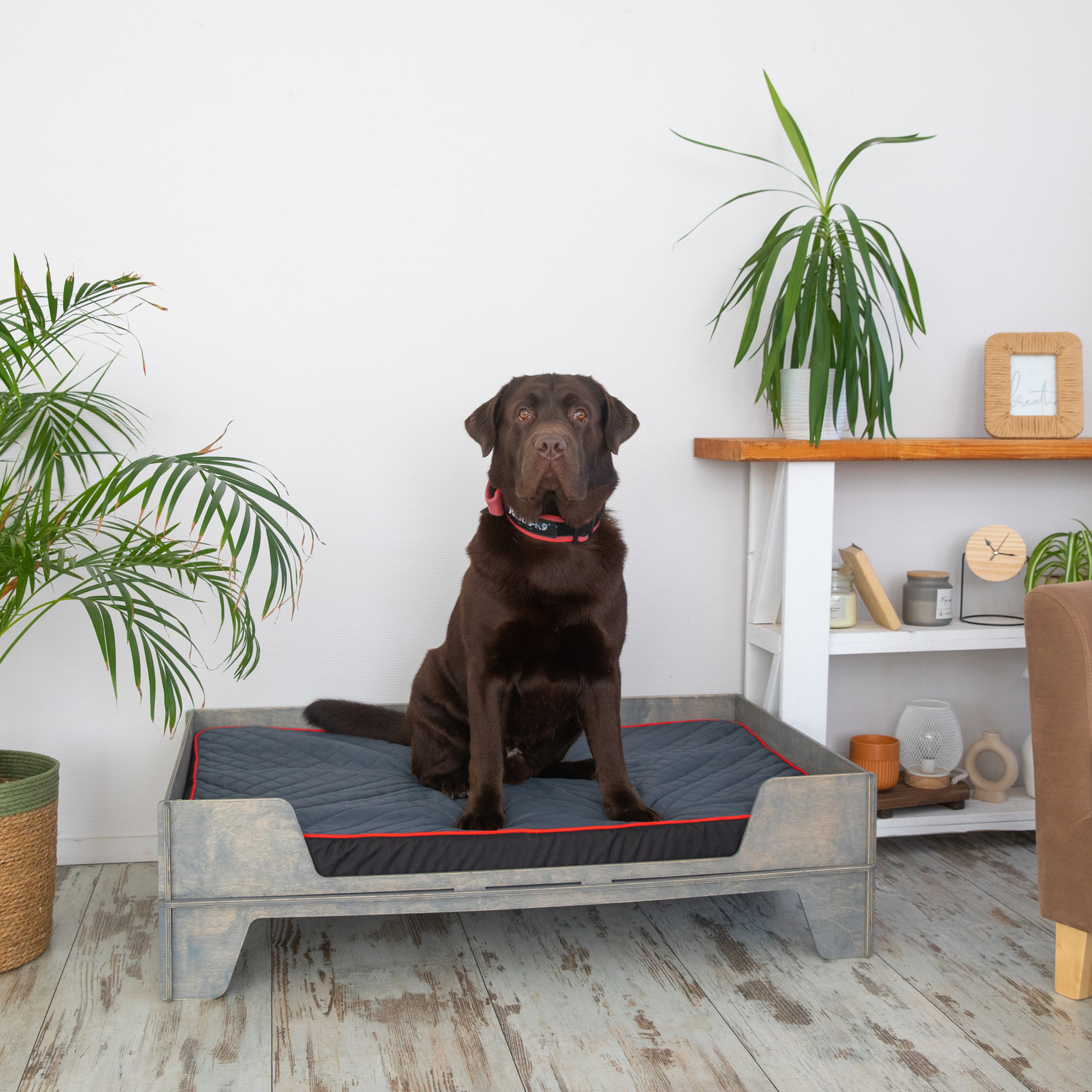 Отзывы. Студийный фотограф Пермь