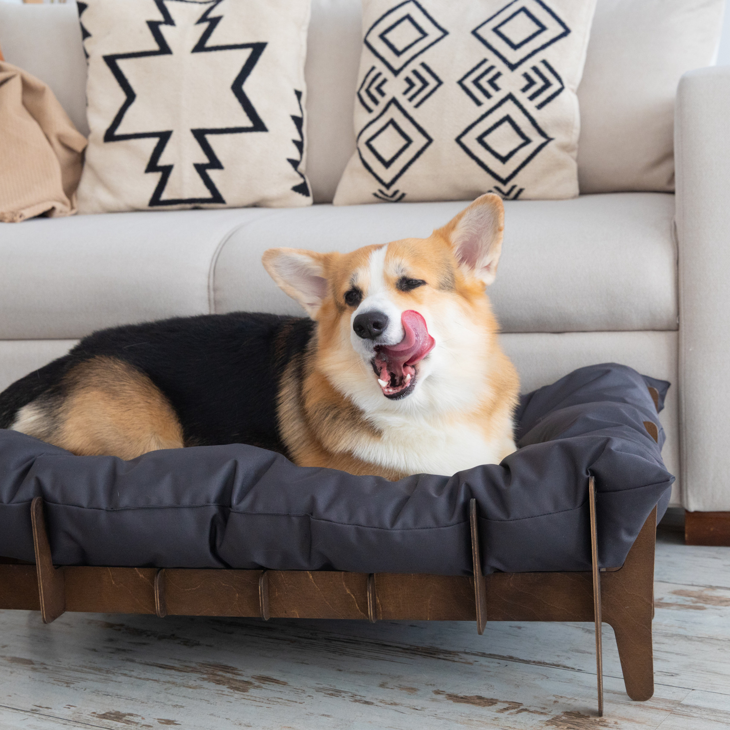 Отзывы. Студийный фотограф Пермь