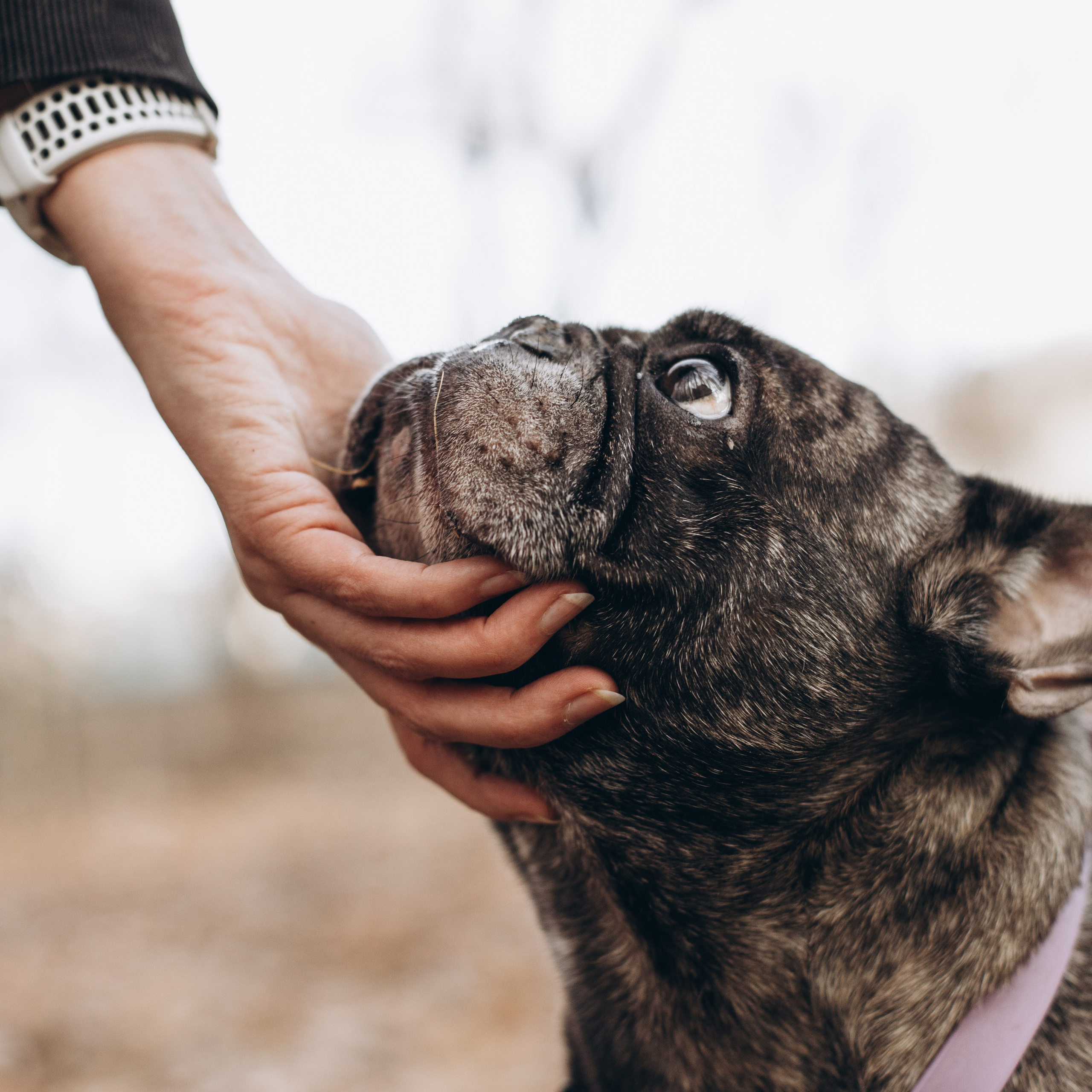 Ирина и Жора