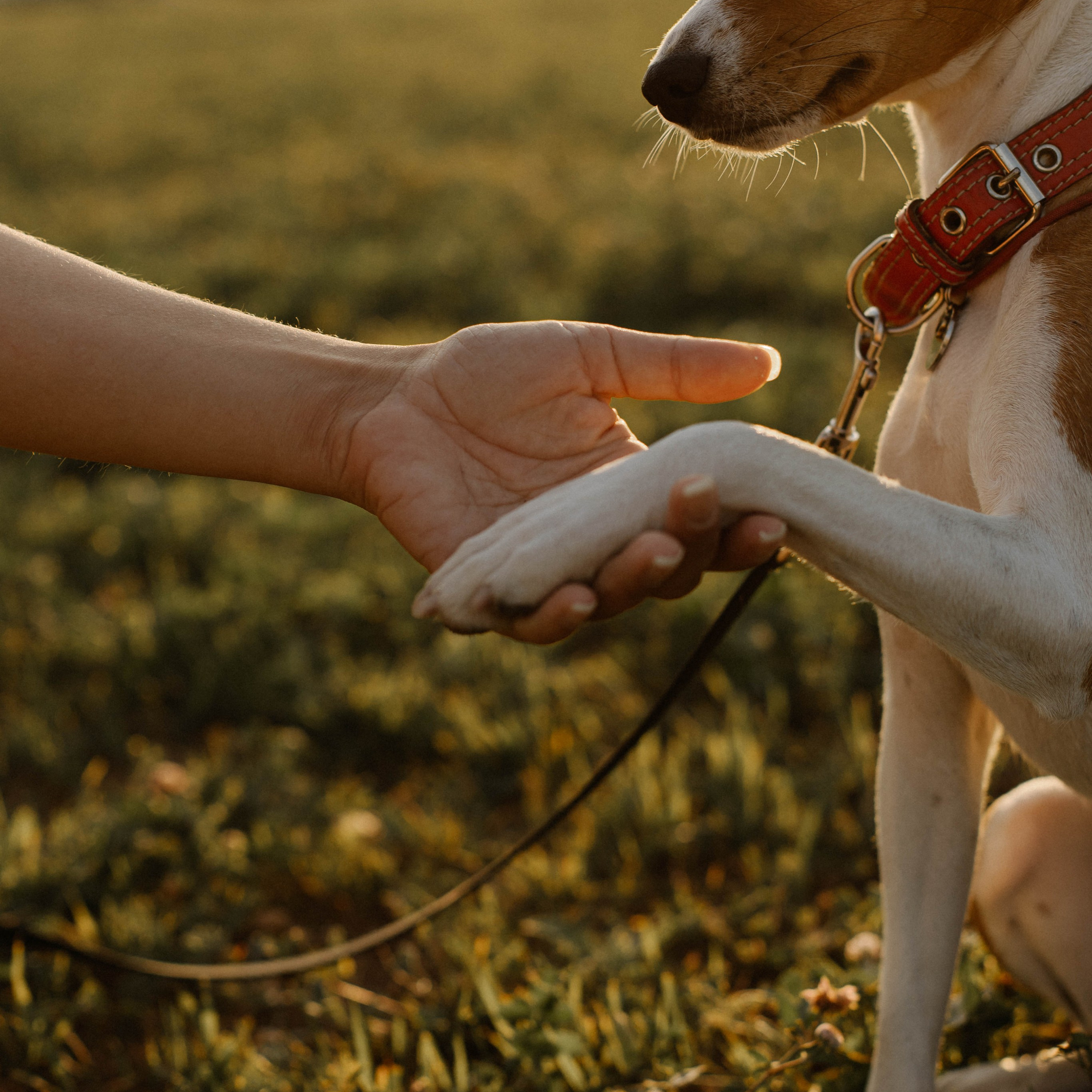 Съемка для Оксаны и Чили
