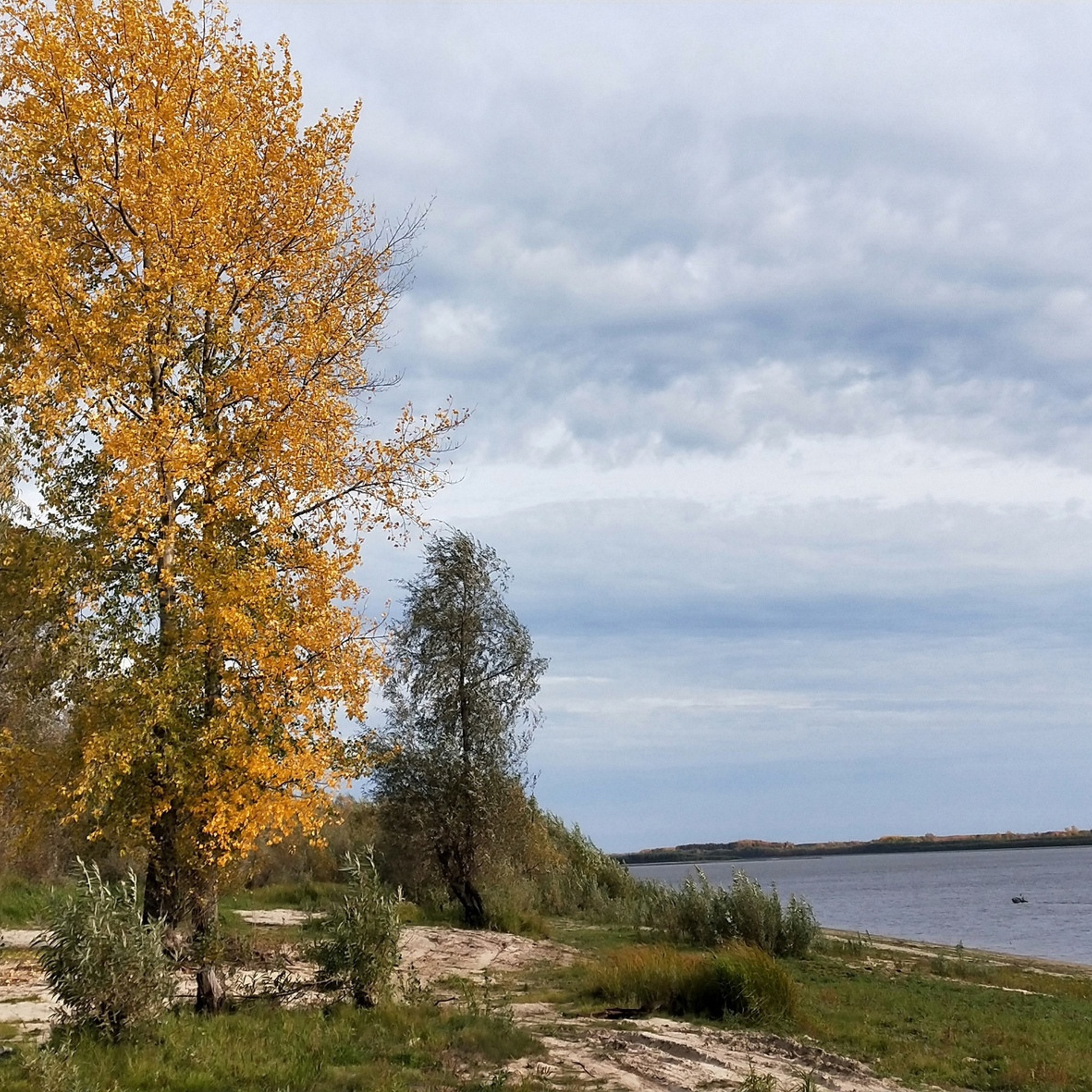 Отзывы. КЛАСС | Выпускные альбомы в Нижневартовске