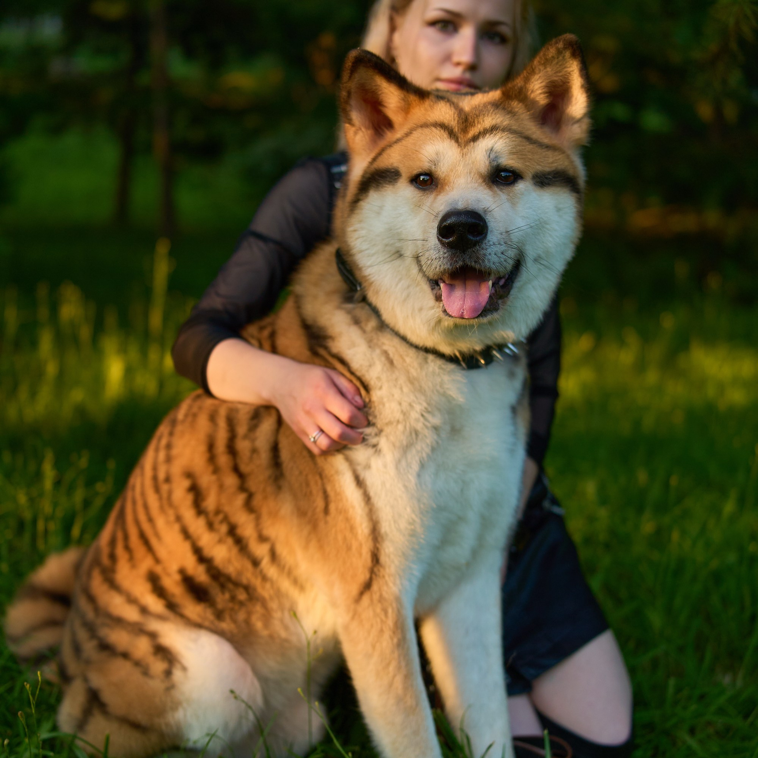 Фотосессия с домашним питомцем в Туле